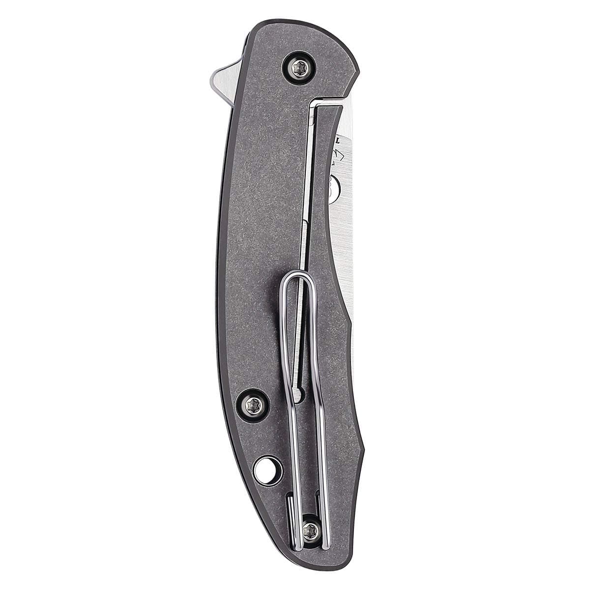 Spyderco Mantra 2 Folding Knife - Titanium Handle with PlainEdge, Full-Flat Grind, CPM M4 Steel Blade and R.I.L - C203TIP