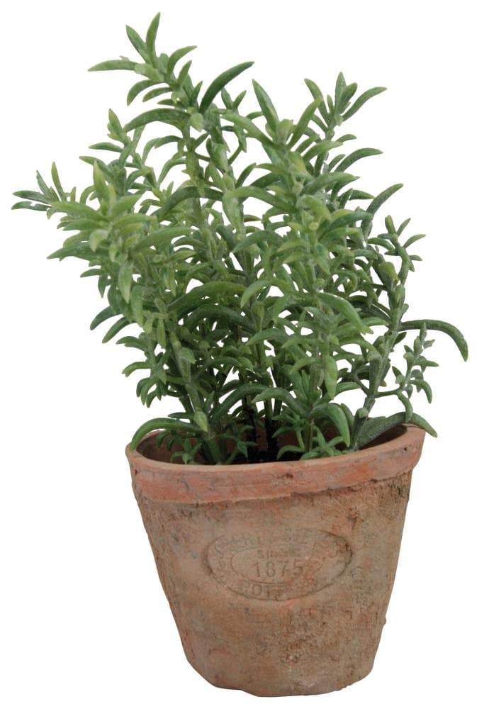 Esschert Design Artificial Herb Plant, Thyme, Small