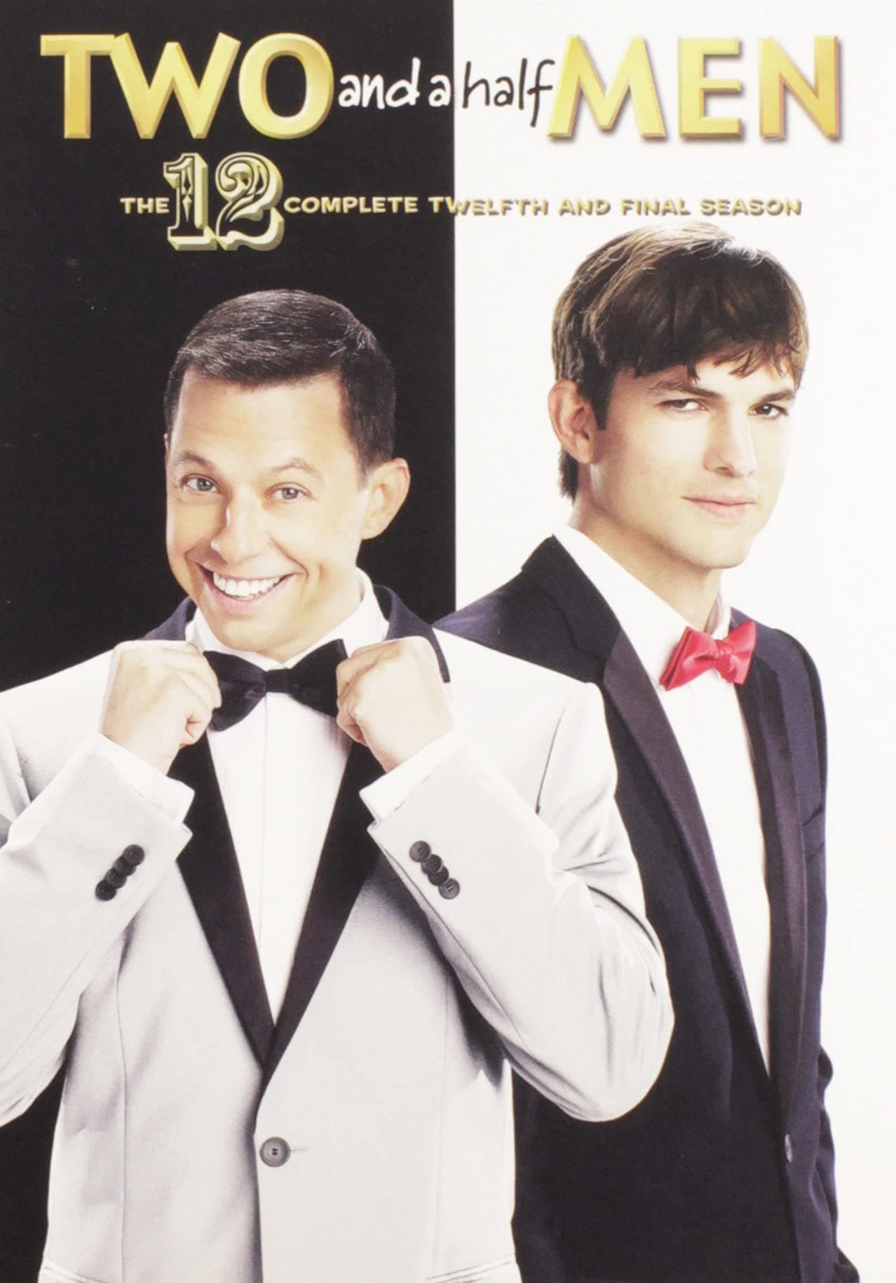 Two and a Half Men: The Complete Twelfth & Final Season [Region 1]