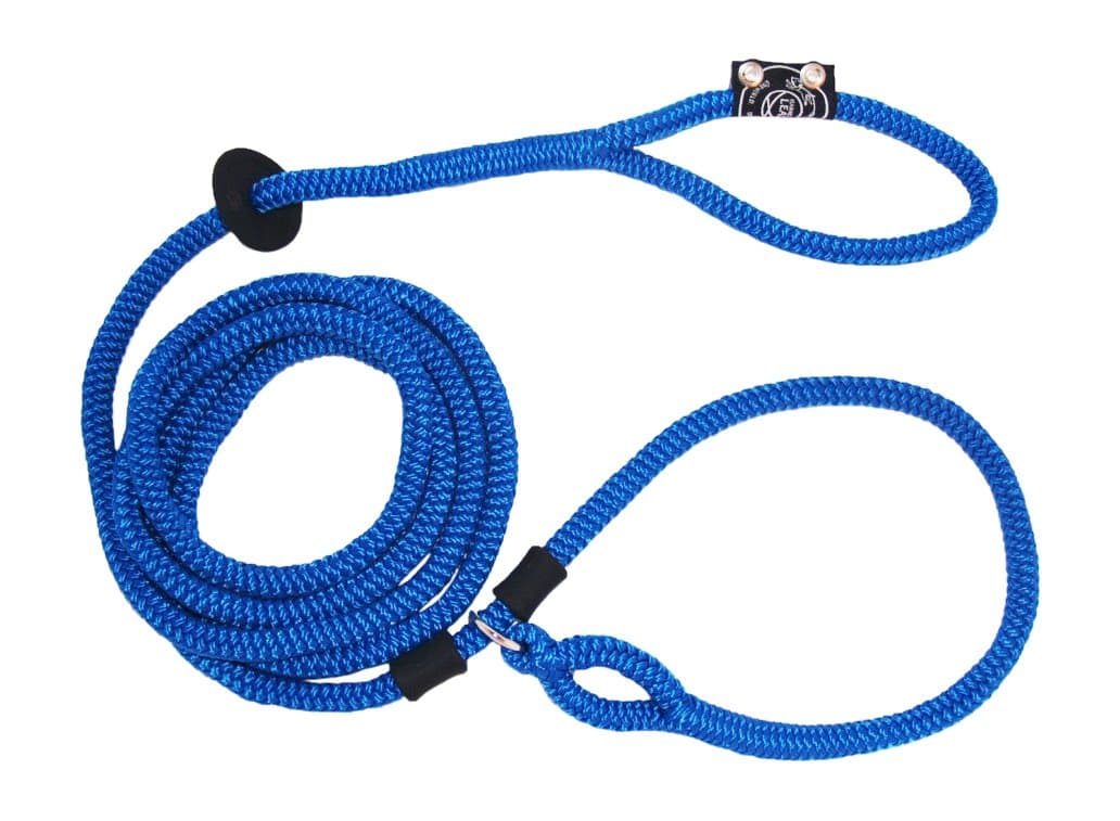 Harness Lead No Pull Dog Harness and Leash Set, Anti Pull Dog Harness for All Breeds and Sizes, One-Piece Cushioned Rope Design Safely Prevents Escaping and Pulling (Small/Medium, Blue/Multi)