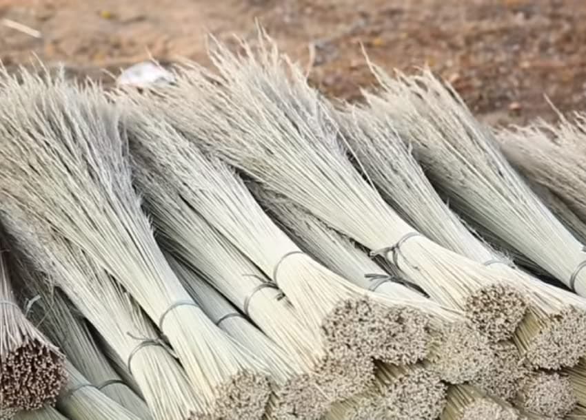 Long Coconut Broom Stick, For Cleaning