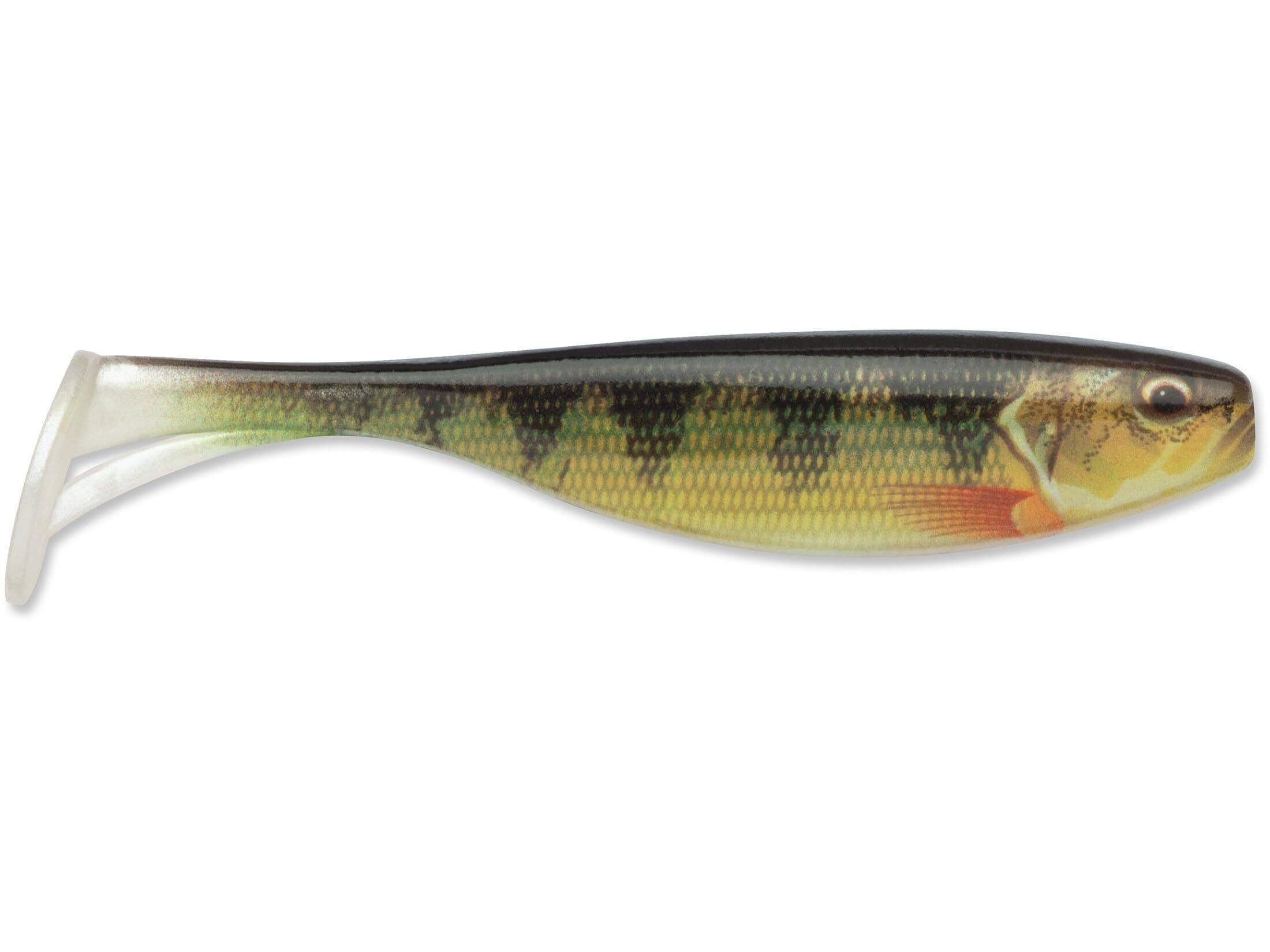 Storm Largo Shad 3.5 Live Yellow Perch