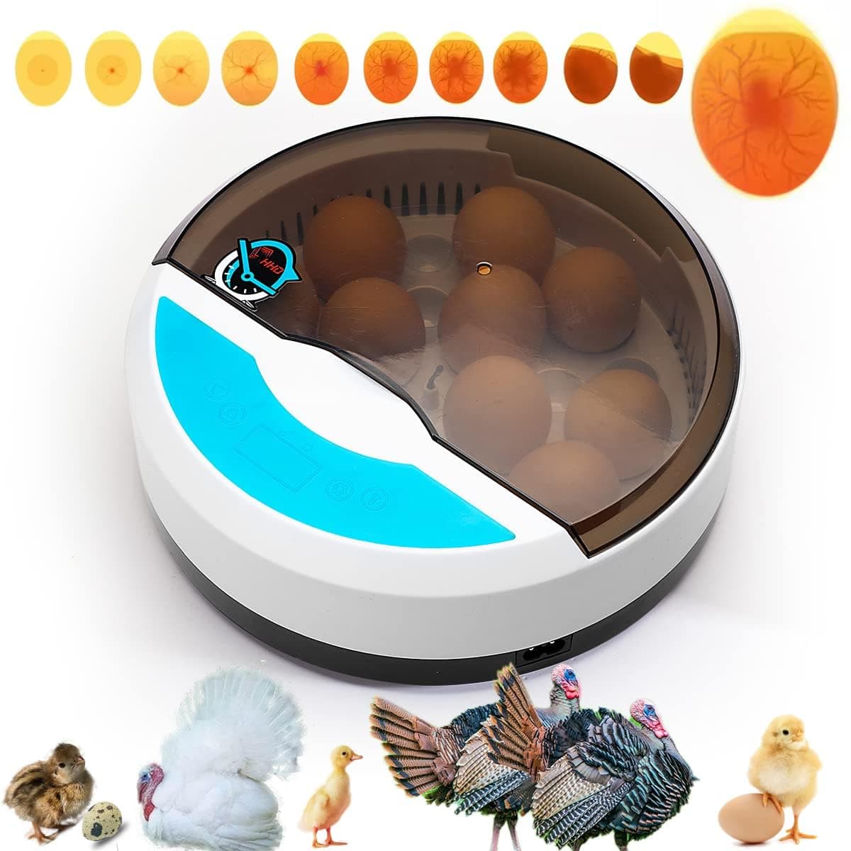Mini Egg Incubator with LED Candle Tester and Temperature Control for Chicken Duck Goose and Bird Hatching