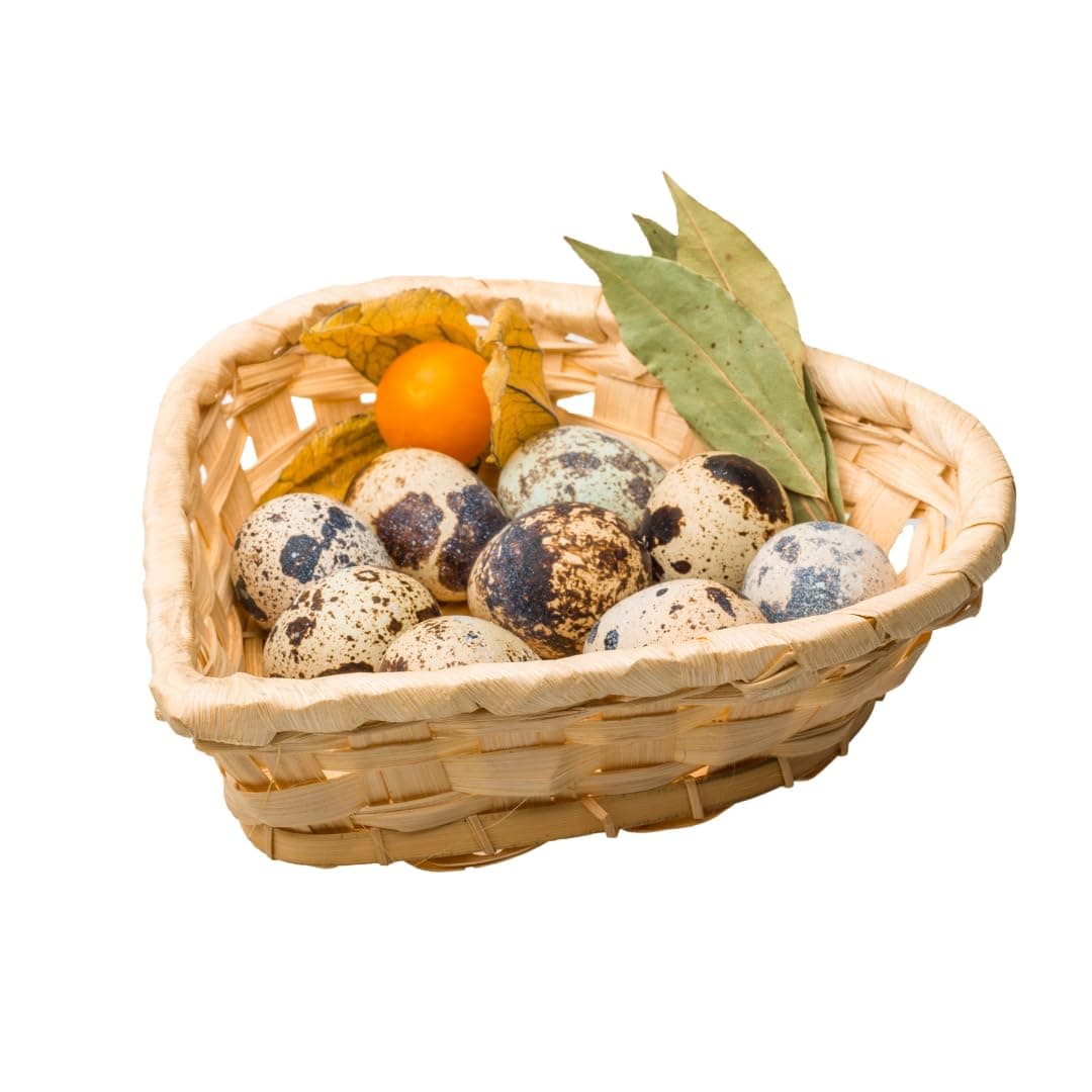 Fresh Quail Eggs laid in the US (medium, 20, Count)