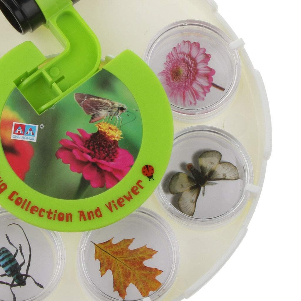 Bug Collection & Viewer Kit Insect Specimen Box Set with Magnifier Education Toy