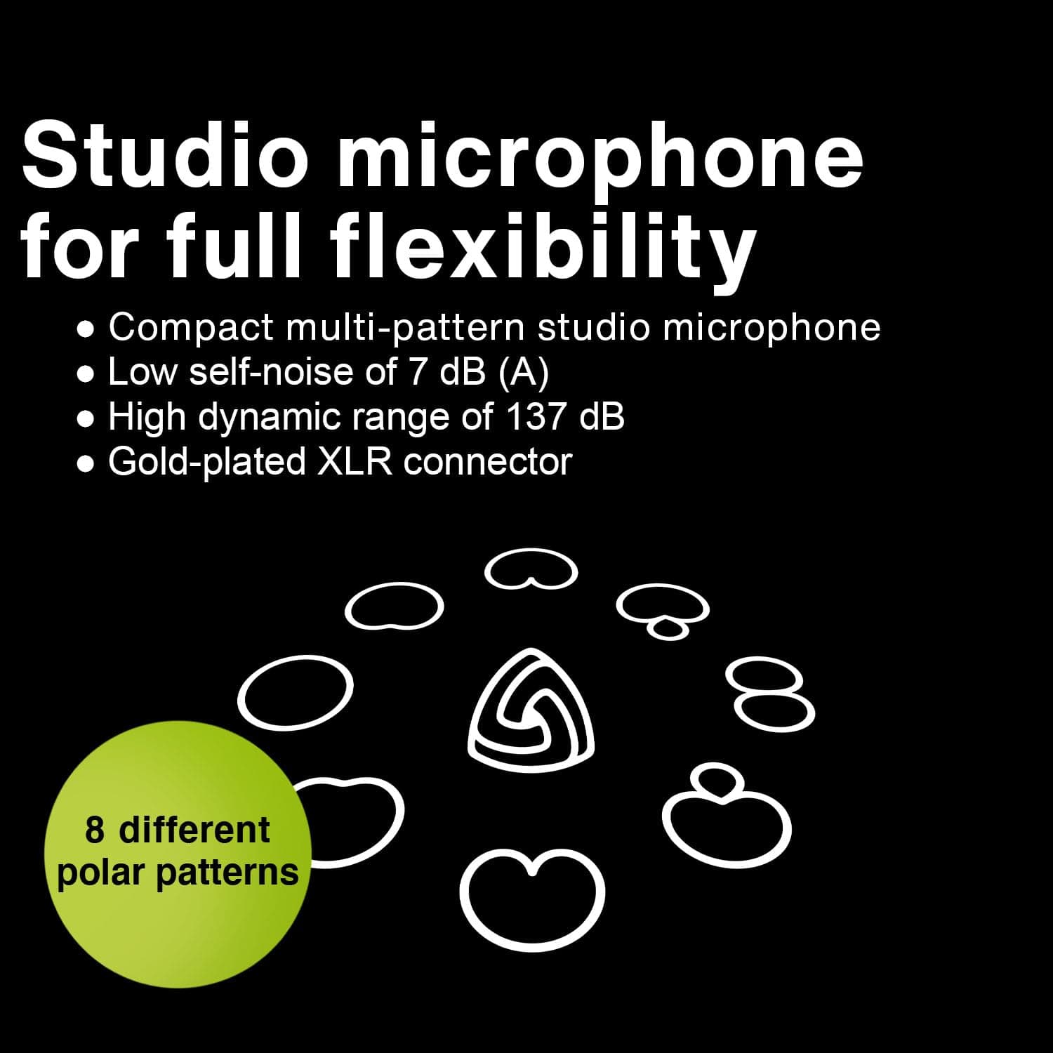 Lewitt 1" Multi-Pattern Studio Microphone (LCT-441-FLEX)