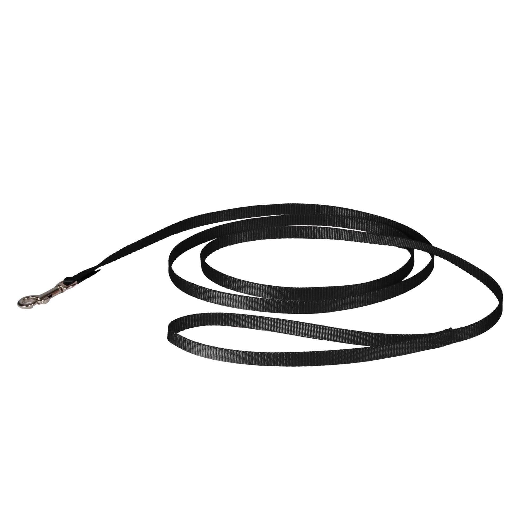 PetSafe Nylon Leash - Durable Cat & Dog Behavioral Training Leash - Compatible with Easy-Walk Harness - Traditional-Style Reliable Pet Lead with a Padded Hand Wrap - 3/8" x 6' - Black