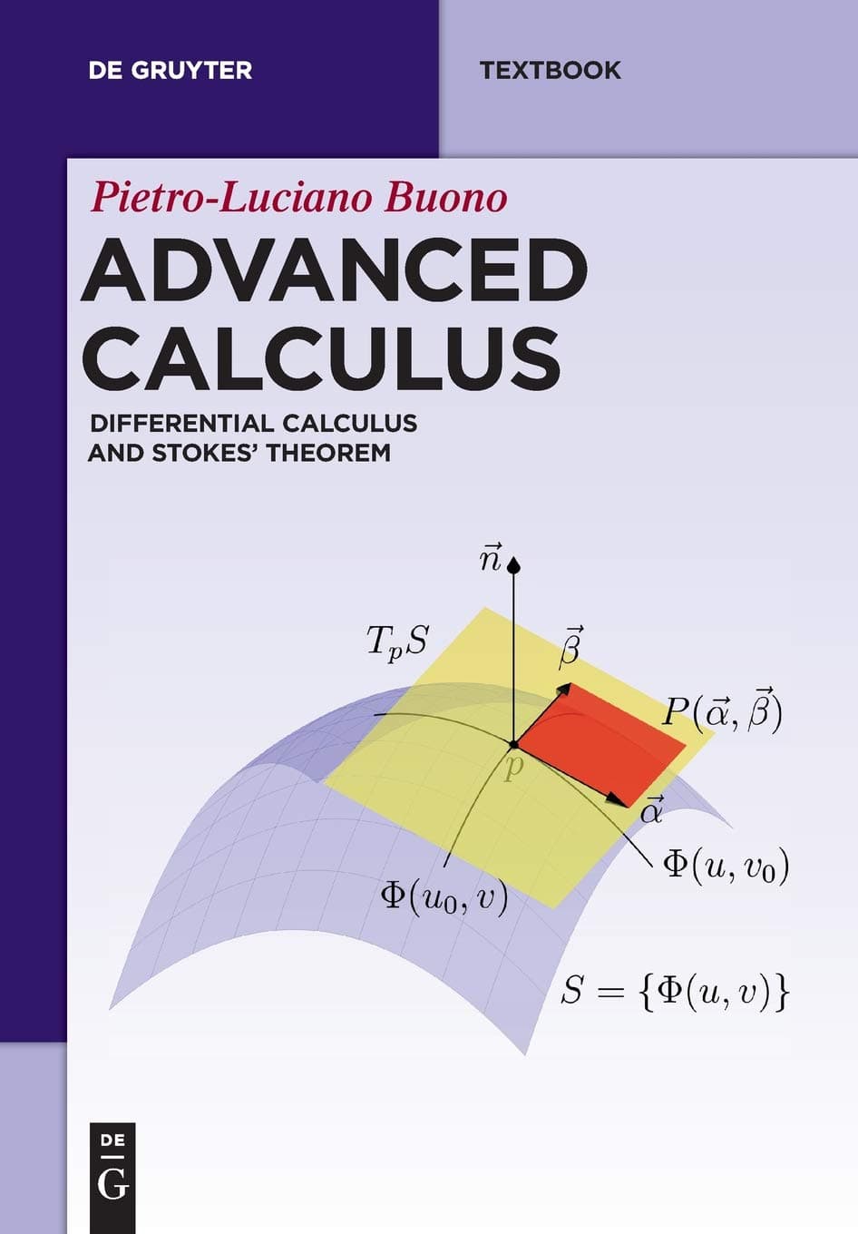 Advanced Calculus: Differential Calculus and Stokes' Theorem (De Gruyter Textbook)