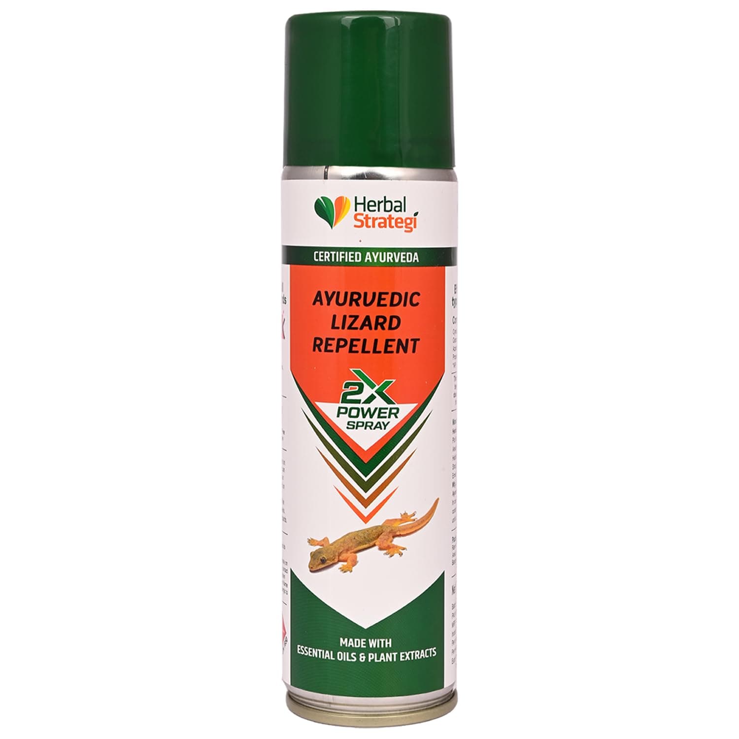 Lizard Repellent