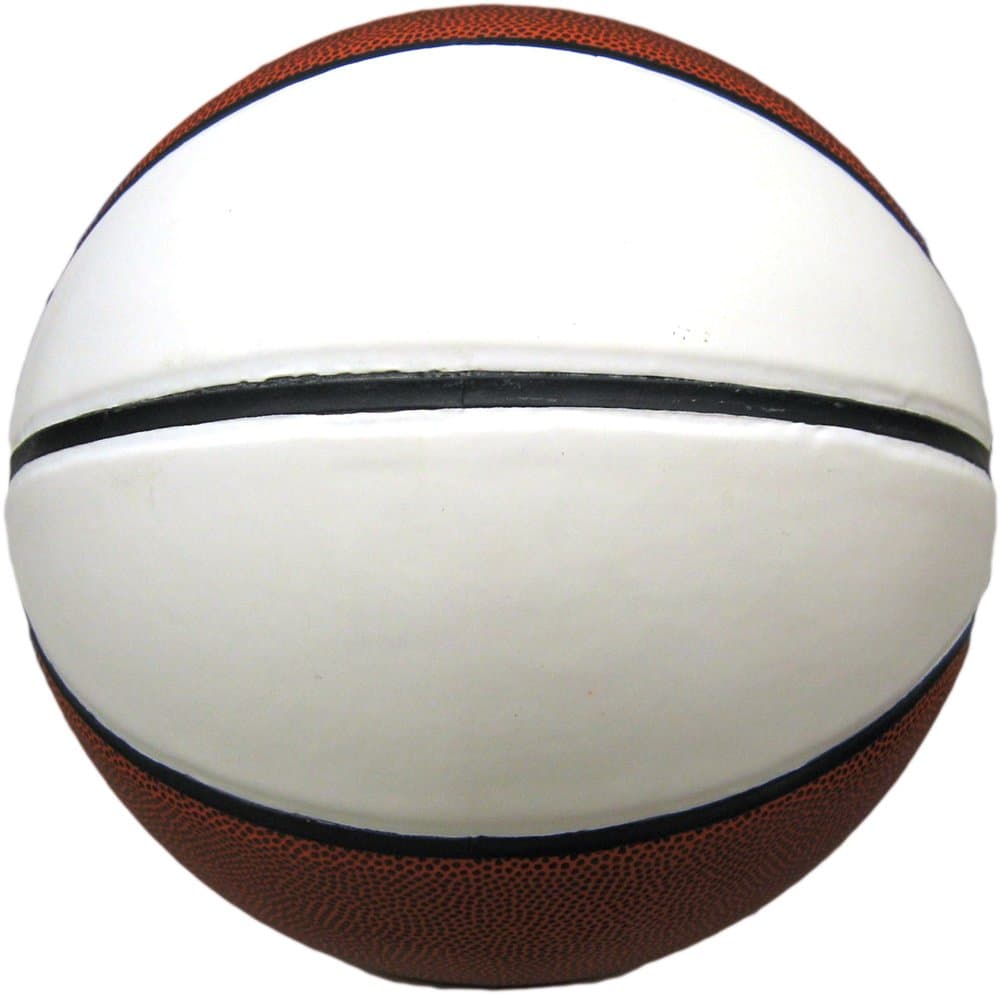 Official Two Panel Autograph Basketball