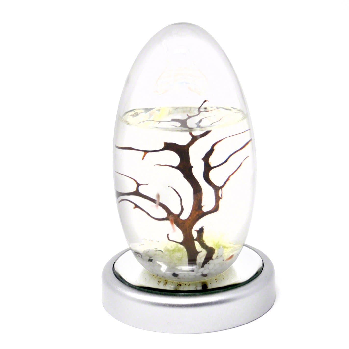 Closed Aquatic Ecosystem Small Pod with LED Base