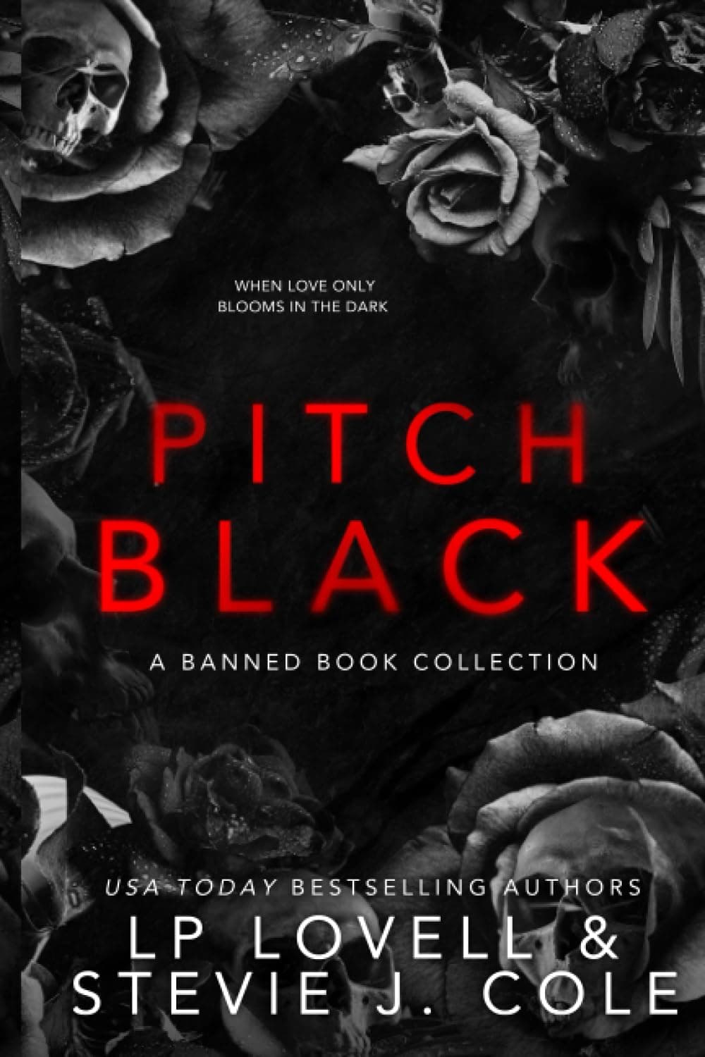 Pitch Black: A Banned Book Collection