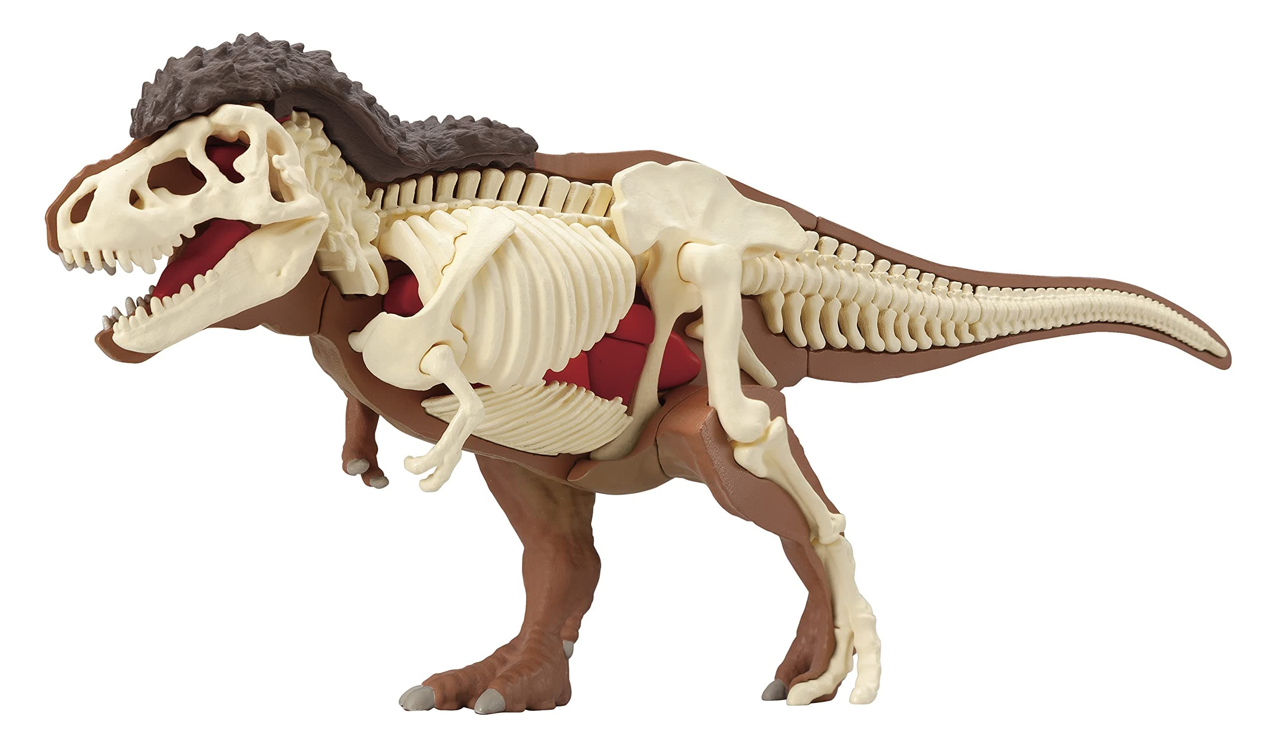 Demolition Puzzle Science T-Rex Restoration Puzzle
