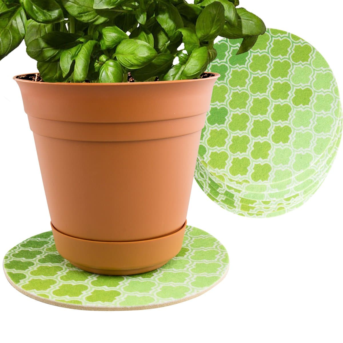 Plastec (6-Pack Indoor Plant Mat for Plastic or Ceramic Flower Pot Trivet Floor Planter Coaster Set