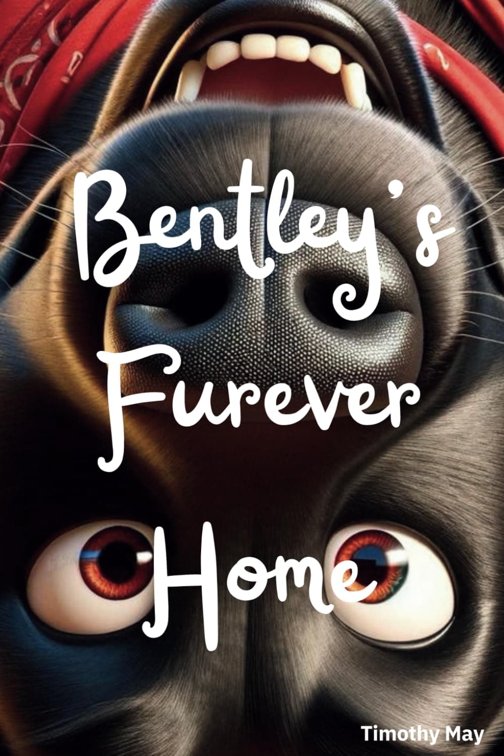 Bentley’s Furever Home