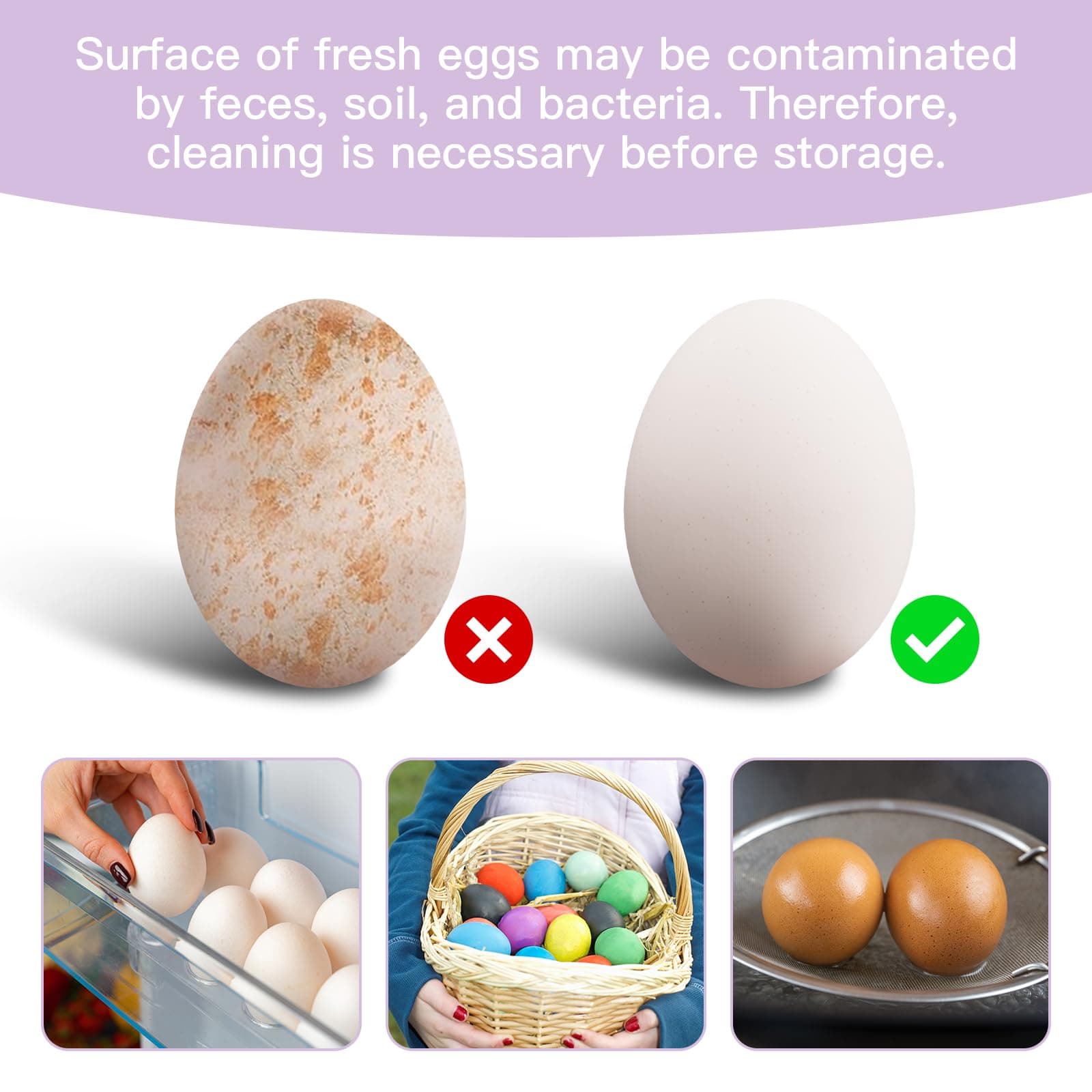 Silicone Fresh Egg Brush Cleaner, Egg Washer for Fresh Eggs, Egg Cleaner for Fresh Eggs, Cleaning Tools for Egg Washer (Purple, 2 Pcs)