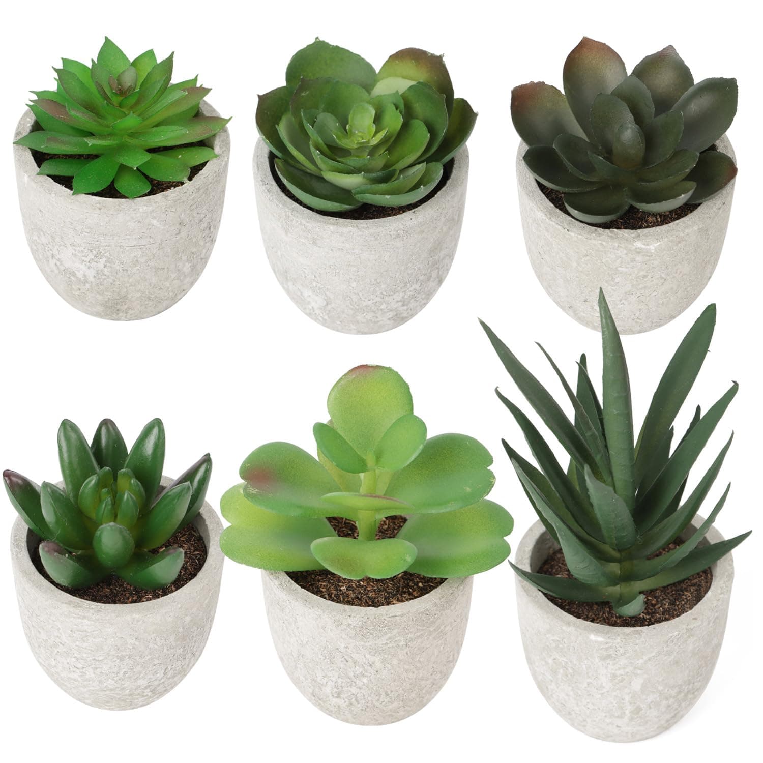 Artificial Succulents 6 Pots