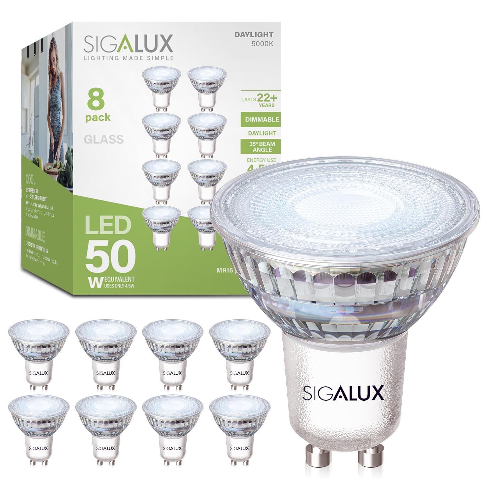 MR16 LED Light Bulb