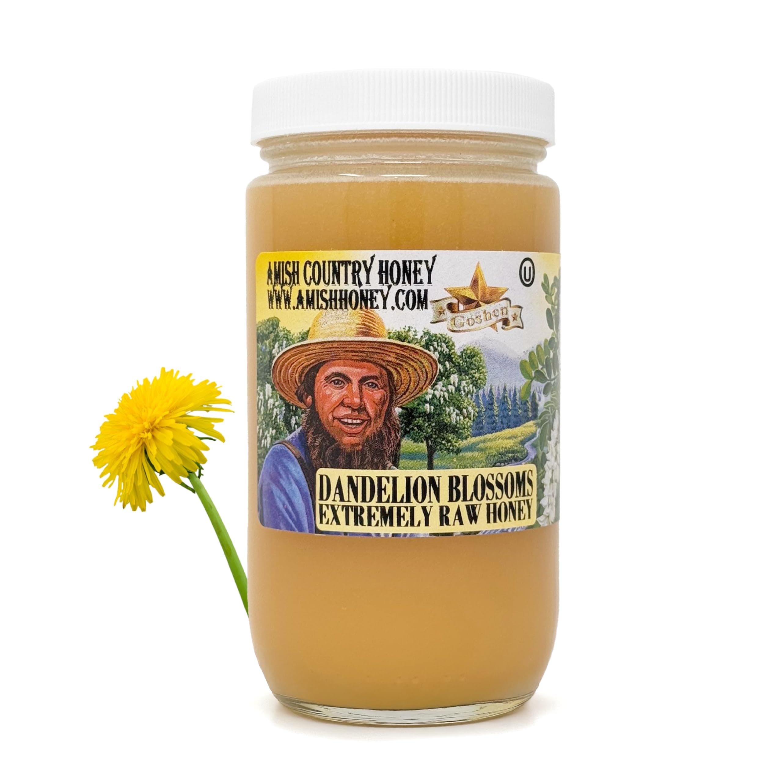 Goshen Honey Extremely Raw Dandelion Honey - Unfiltered, Unprocessed, Pure & Natural from Amish Country in the USA - Rich Flavor for Tea, Cooking, Wellness - Dairy & Gluten Free - 454 g / 16 Oz