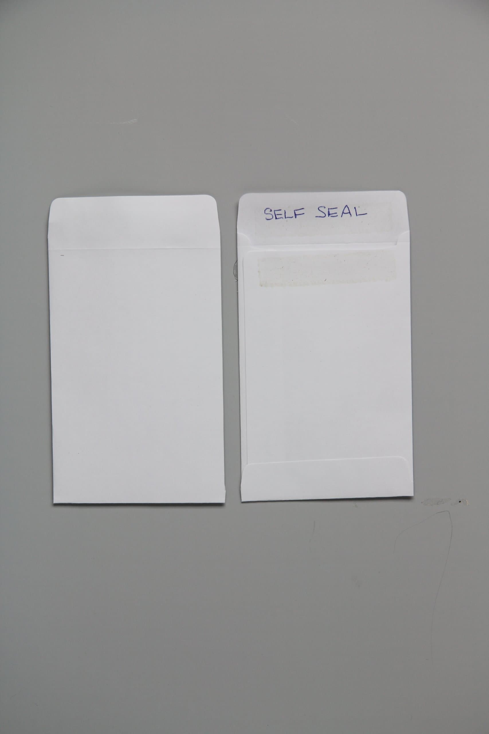 100 BLANK SEED ENVELOPES 3.25" X 4.50" (SELF SEALING) WHITE Shipped in an Informative Gift/Storage Box