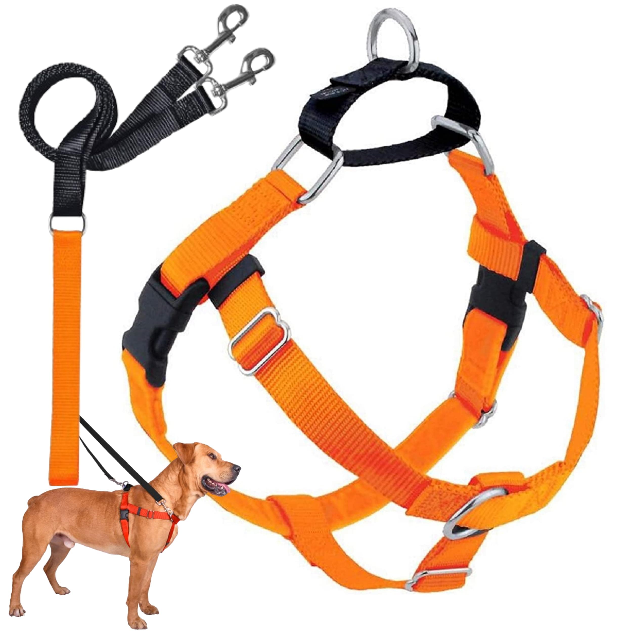 2 Hounds Design Freedom No-Pull Dog Harness with Leash, Medium, 5/8-Inch Wide, Neon Orange