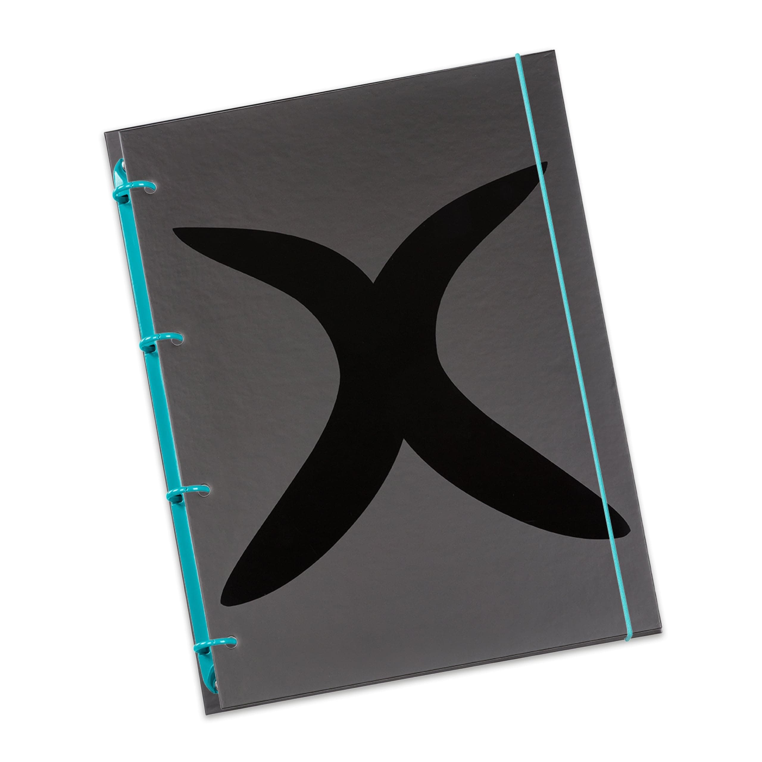 flexiNotes A4 notebook, type: X-black, turquoise, 125 sheets, squared - ring M