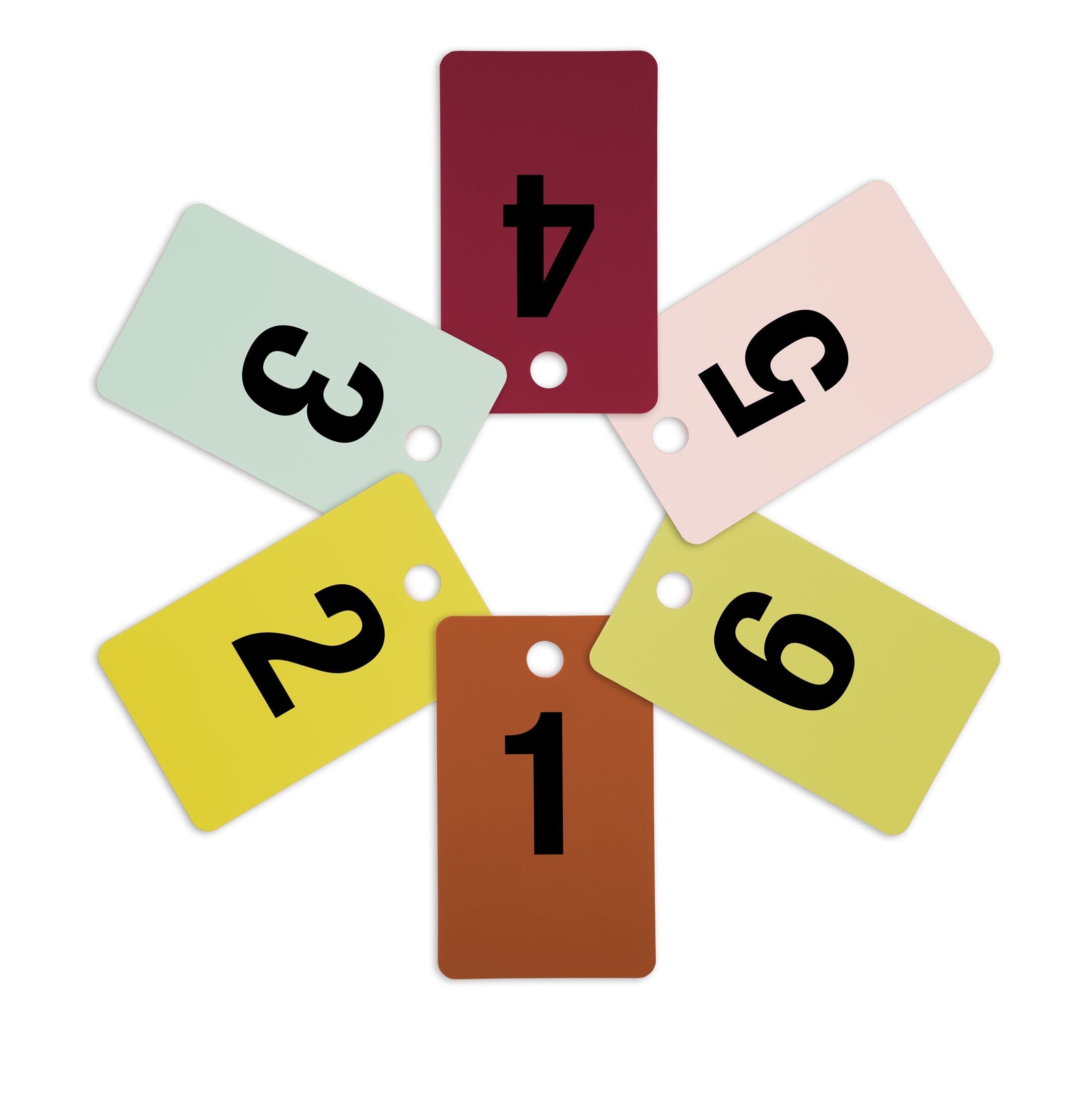 8-FRT1-6 Fitting Room Tags, Includes Numbers 1-6 in Various Colors, 10 of Each Size (Pack of 60)