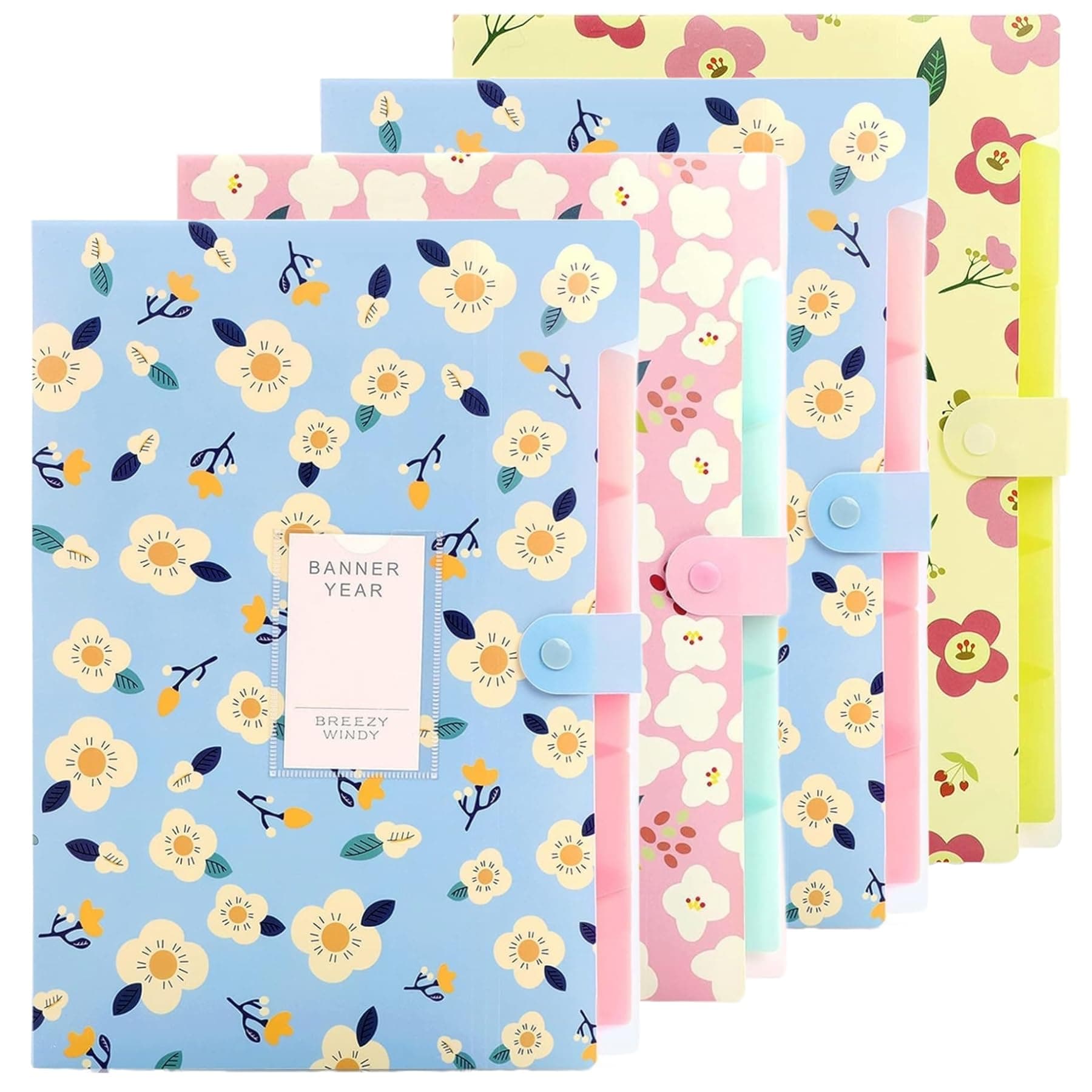 Corslet Folder for Documents A4 Size 5 Pockets Files for Students for School and Office (Pack of 4)