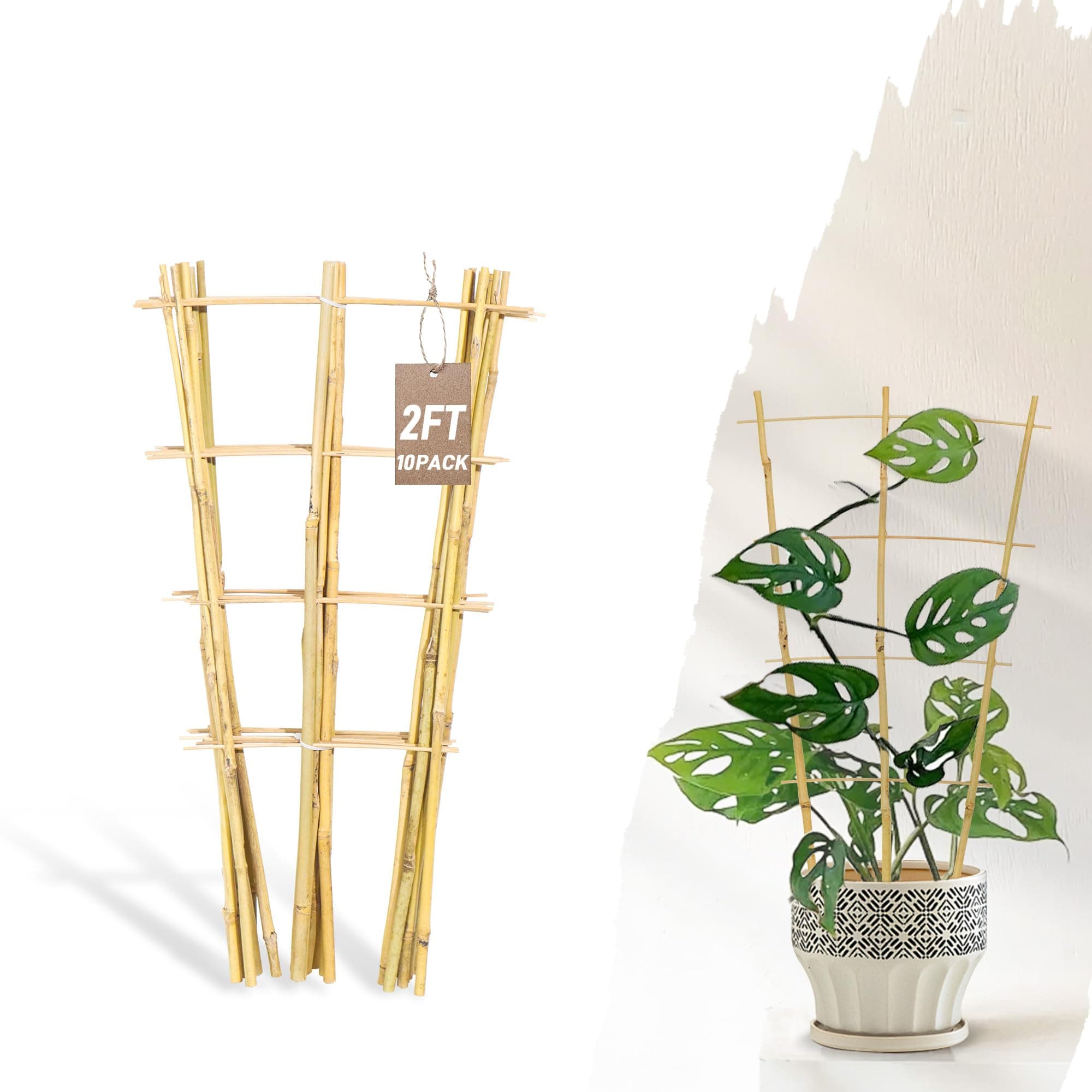 Avalution 10 Pack Bamboo Trellis for Climbing Plants, 2 FT Garden Ladder Trellis for Potted Plants Indoor, Fan-Shaped Small Plant Support Trellis for Houseplants Ivy Hoya Vine Monstera