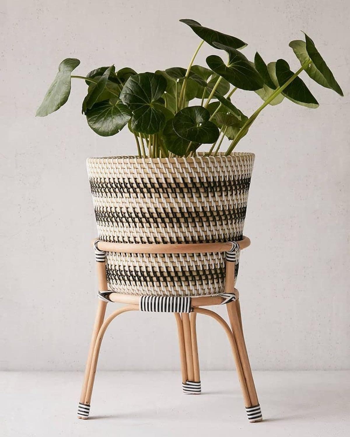 Rattan Stand with Planter Basket
