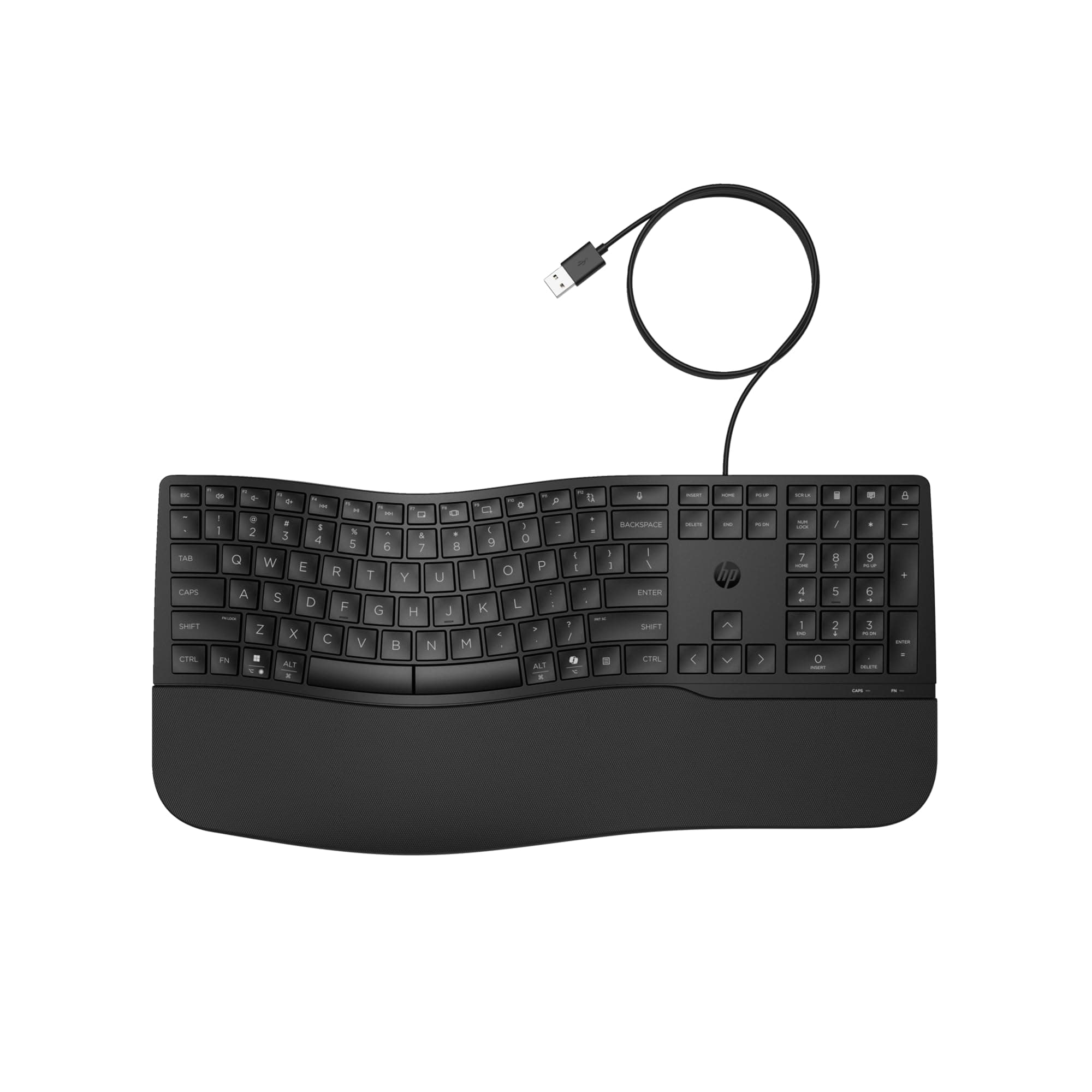 HP 480 Comfort Wired Keyboard, USB-A connectivity, 23 programmable Keys, Microsoft Copilot, Cushioned Palm Rest, Adjustable tilt, Spill Resistant, 1-Year Limited Warranty, Black, 8T6M1AA