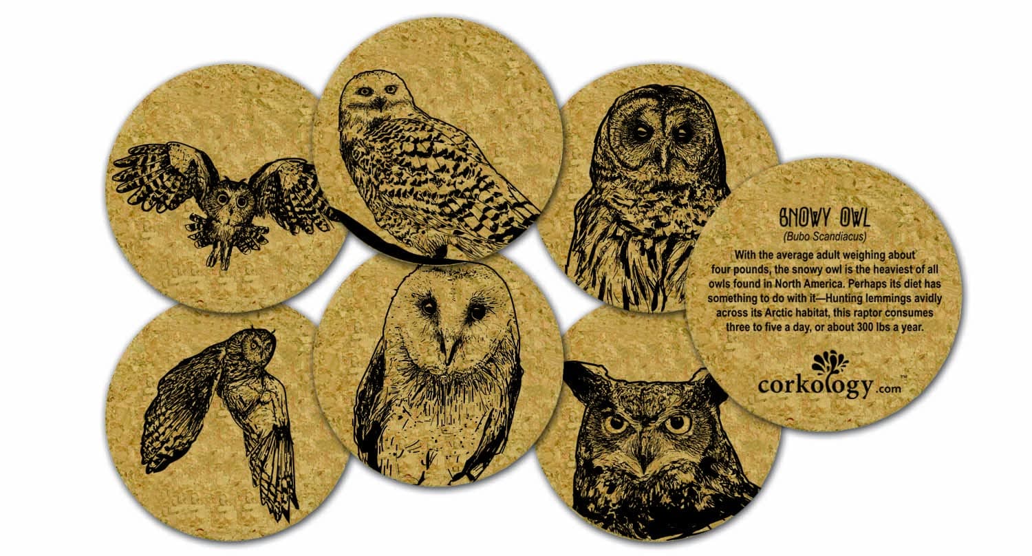 Owls Coaster Set, Cork