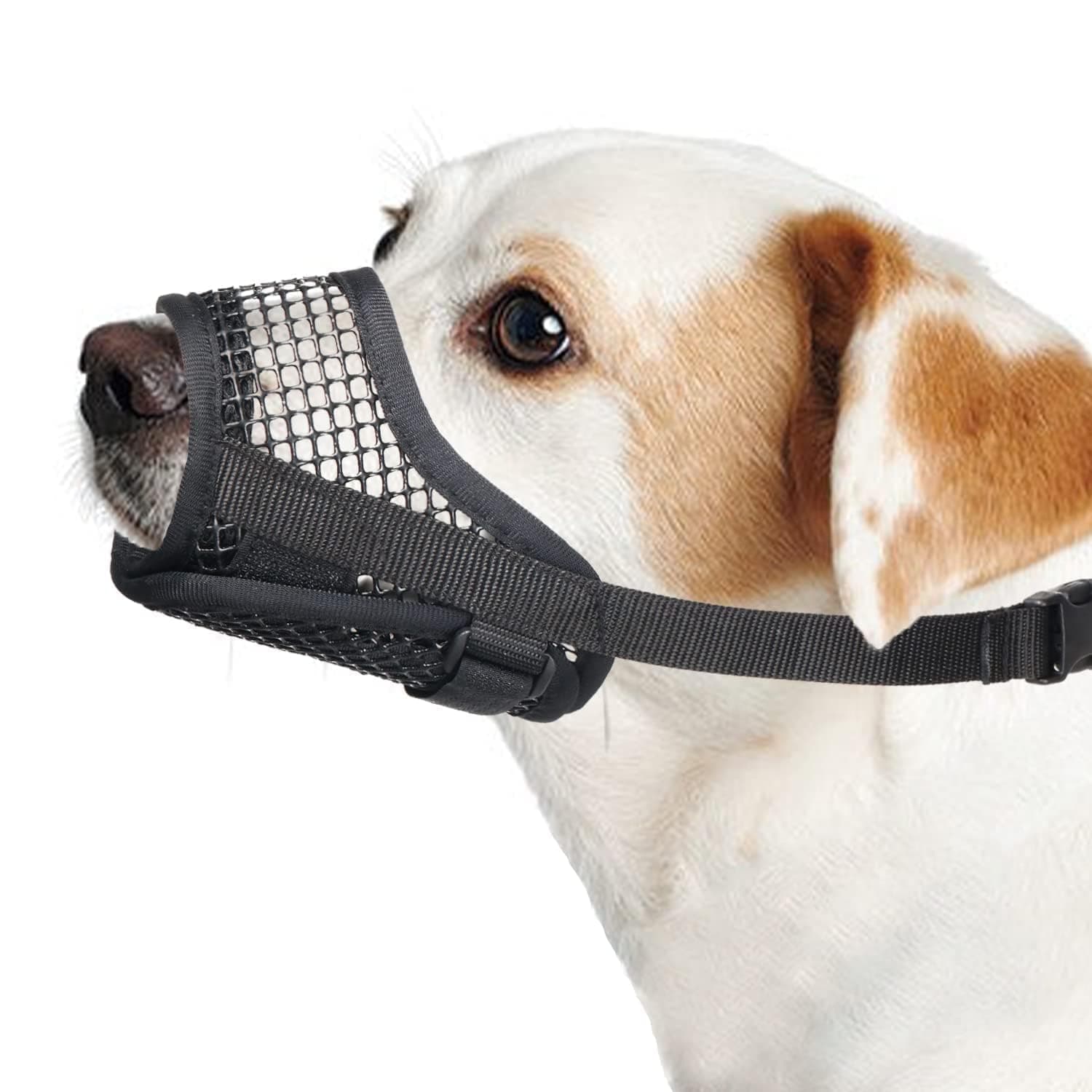 Mayerzon Dog Muzzle, Breathable Mesh Puppy Muzzles for Small Medium Large Dogs Jack Russell Terrier Dachshund Beagle Golden Retriever for Biting Chewing Grooming, with Adjustable Hook and Loop