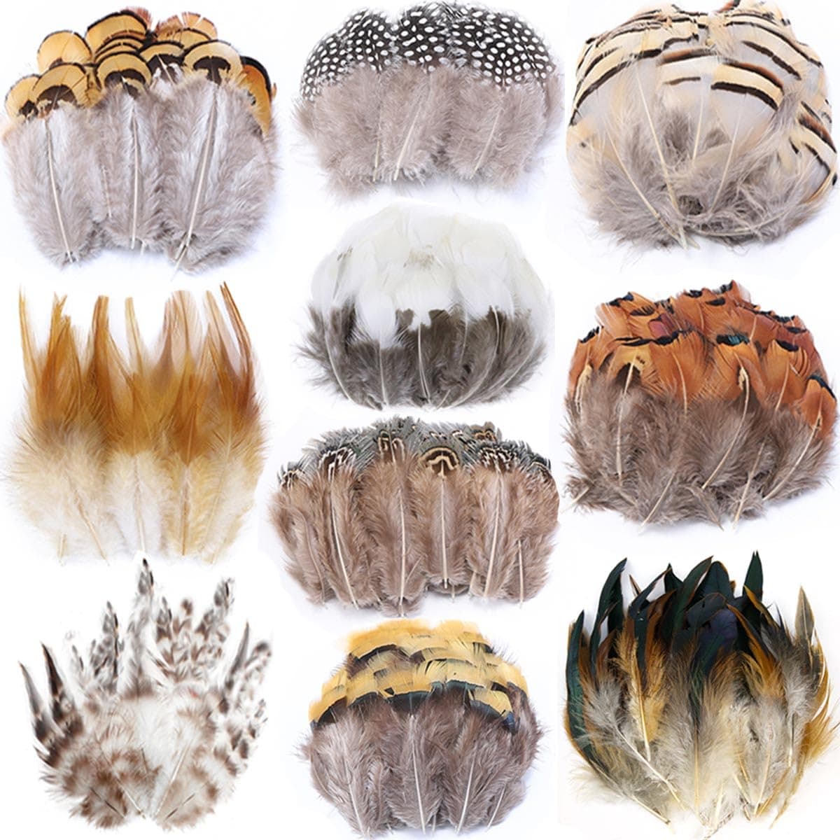 200pcs 10 Style Natural Feathers Assorted Mixed Feathers for Dream Catcher Crafts Decoration (10 Styles - 200 Pcs)