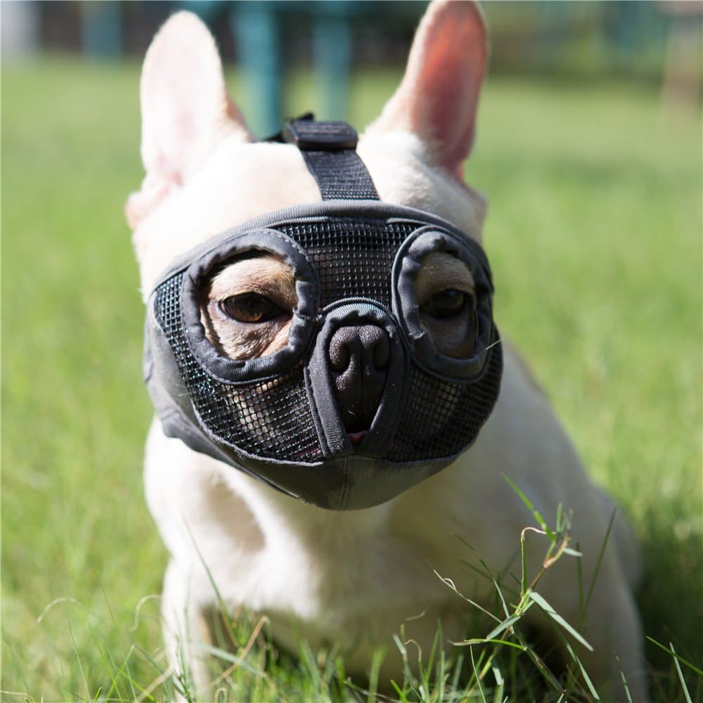 Short Snout Dog Muzzles- Adjustable Breathable Mesh Bulldog Muzzle for Biting Chewing Licking Training Grooming Dog Mask (Grey(Eyehole), Small/9"-12")