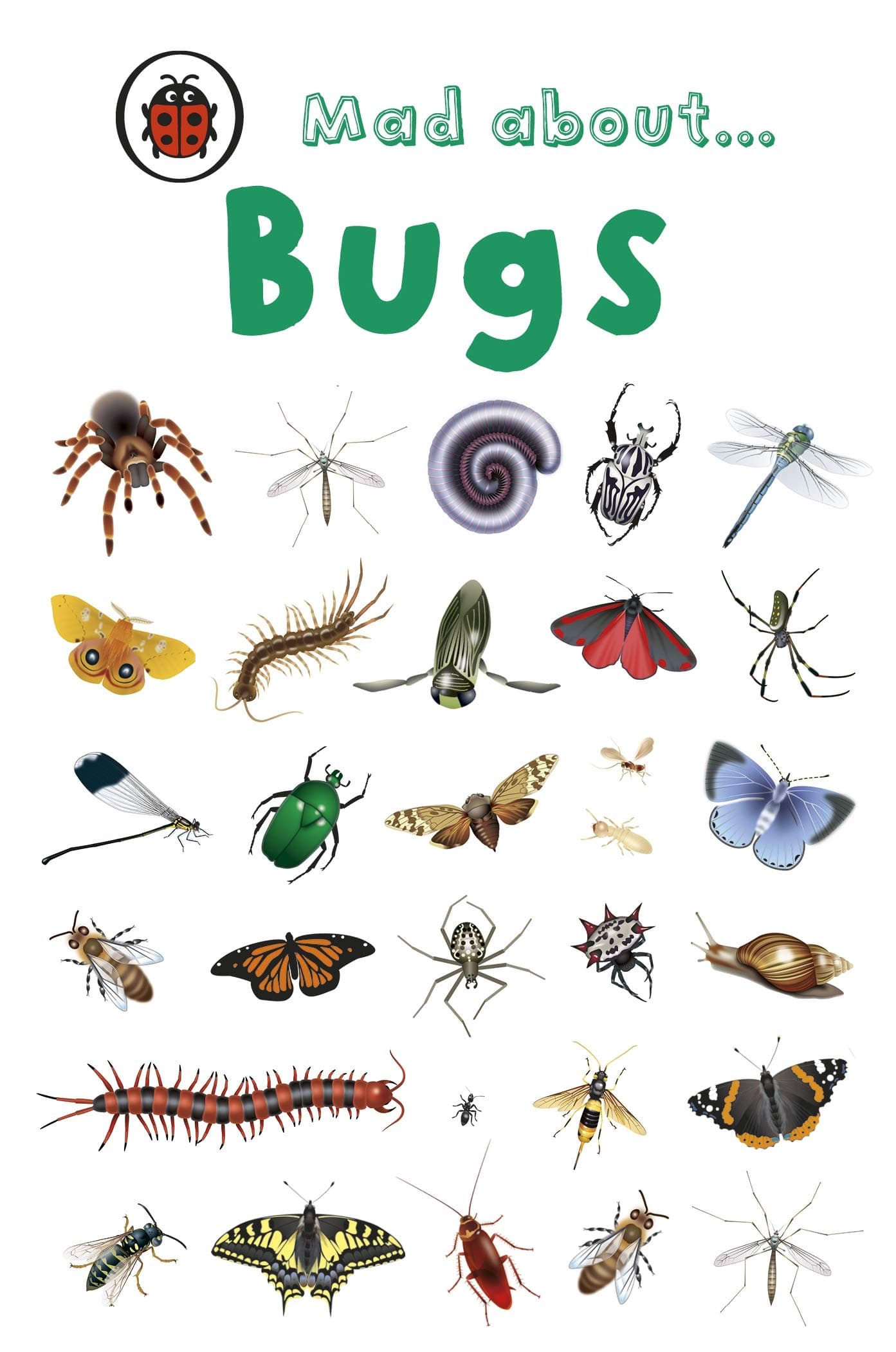 Mad About Bugs Hardcover – 6 March 2008