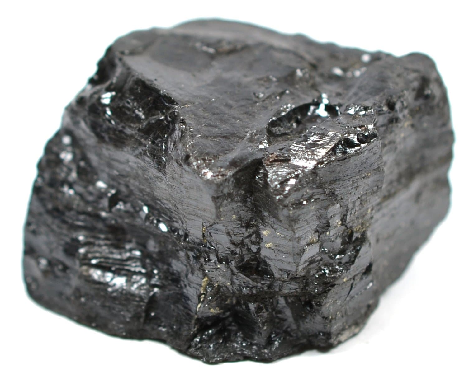 EISCO Bituminous Coal Specimen (Sedimentary Rock), Approx. 1" (3cm)