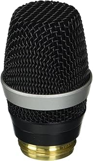 D5 WL1 Professional Dynamic Microphone Head