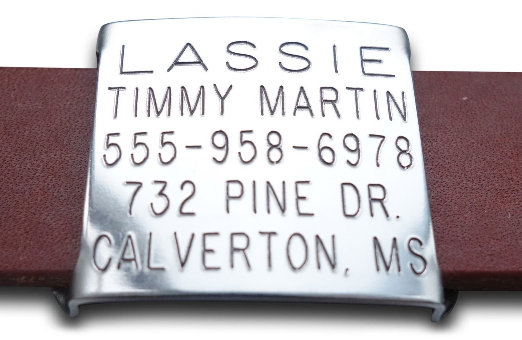 Leash Boss Thick Slide On Pet ID Tag for 5/8 Inch Wide Leather and Double Thick Nylon Collars, Small, Custom Engraved and Personalized Tag for Thick and Padded Dog Cat Belt Style Collars