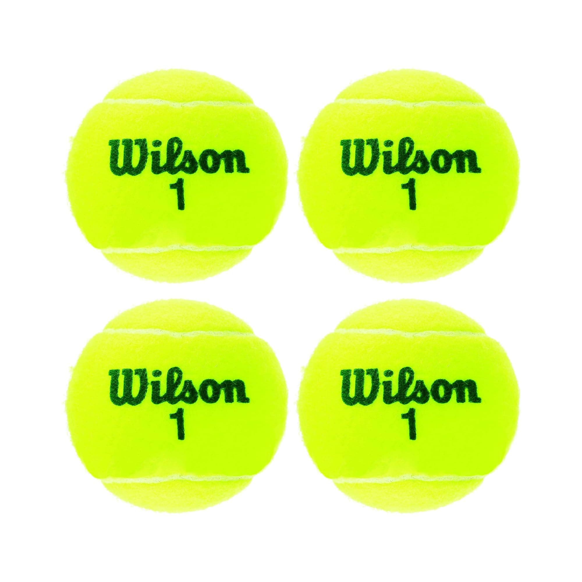 Championship Tennis Balls