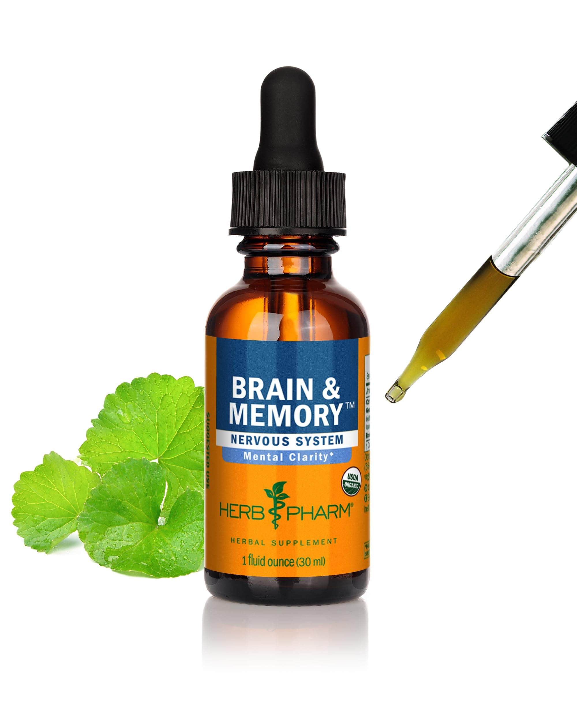 Brain and Memory Liquid Herbal Formula with Ginkgo for Memory and Concentration- 1 Ounce