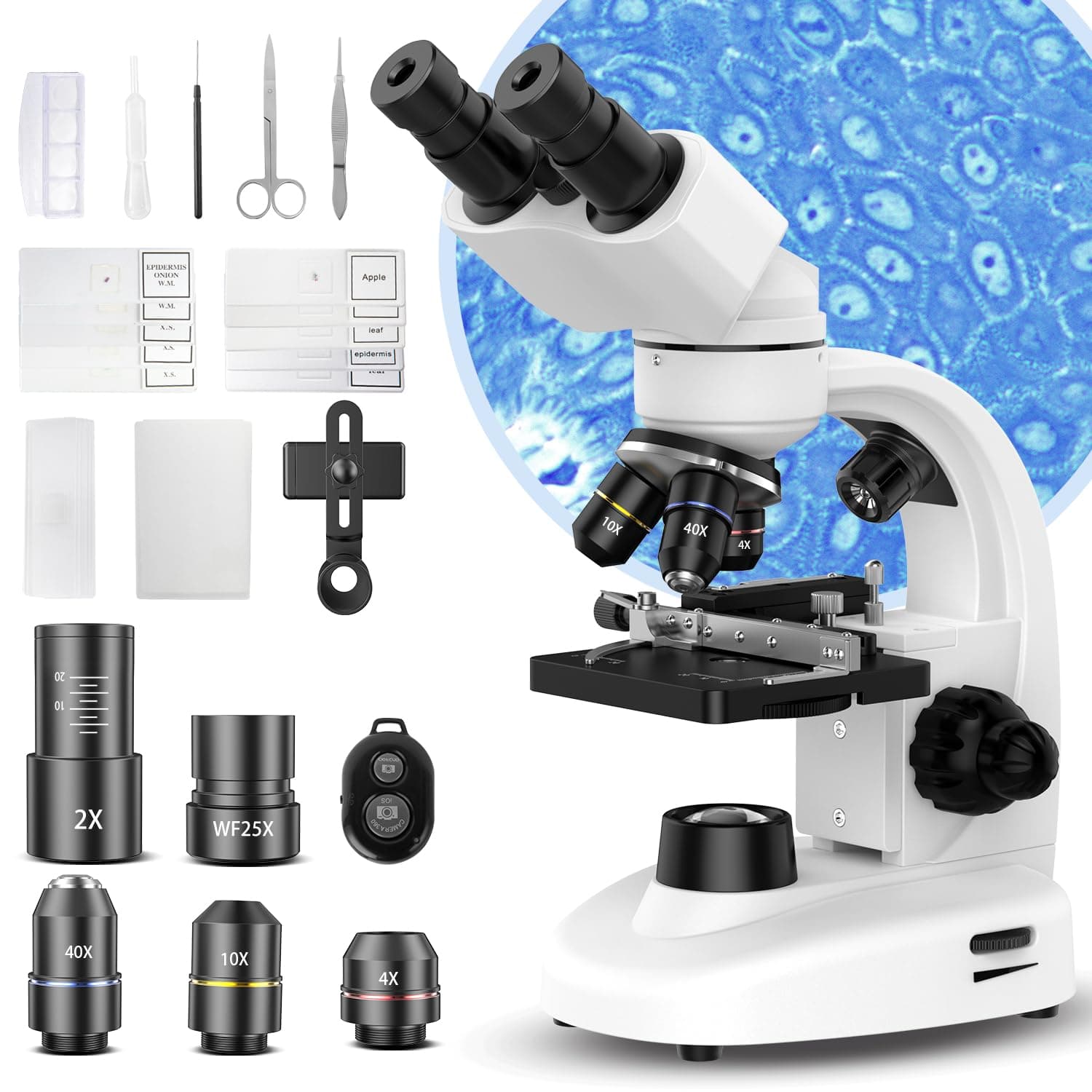 Compound Binocular Microscope for Adults, Professionals & Kids, 40X-2000X Magnification with LED Illumination, Mechanical Stage, WF10x & WF25x Eyepieces,Compatible for Lab, School, Home Education