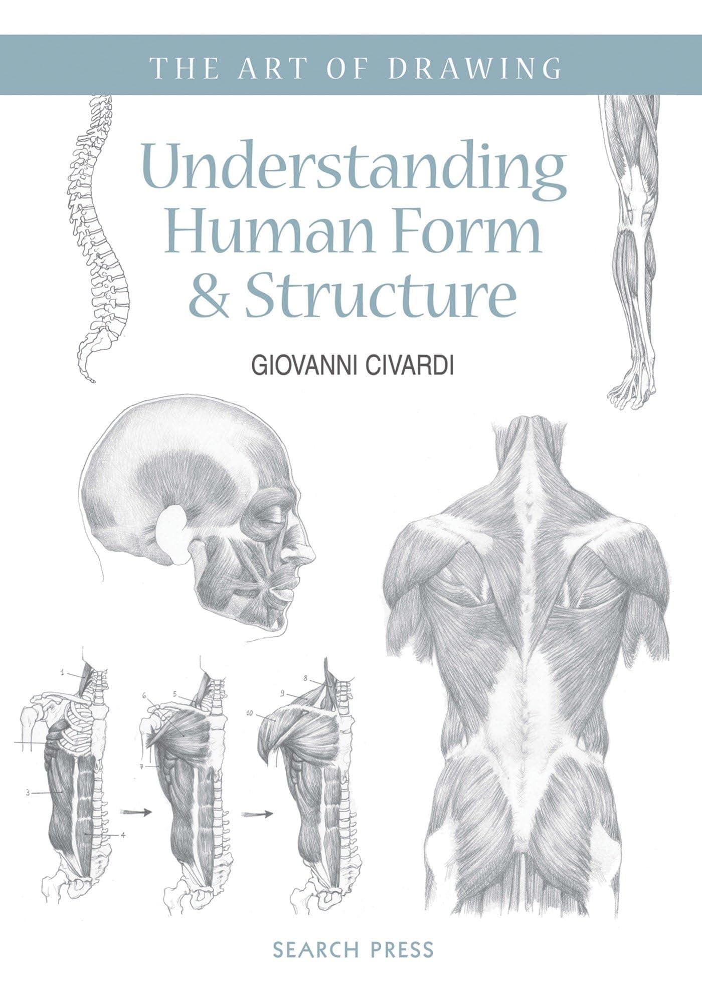 Art of Drawing: Understanding Human Form & Structure