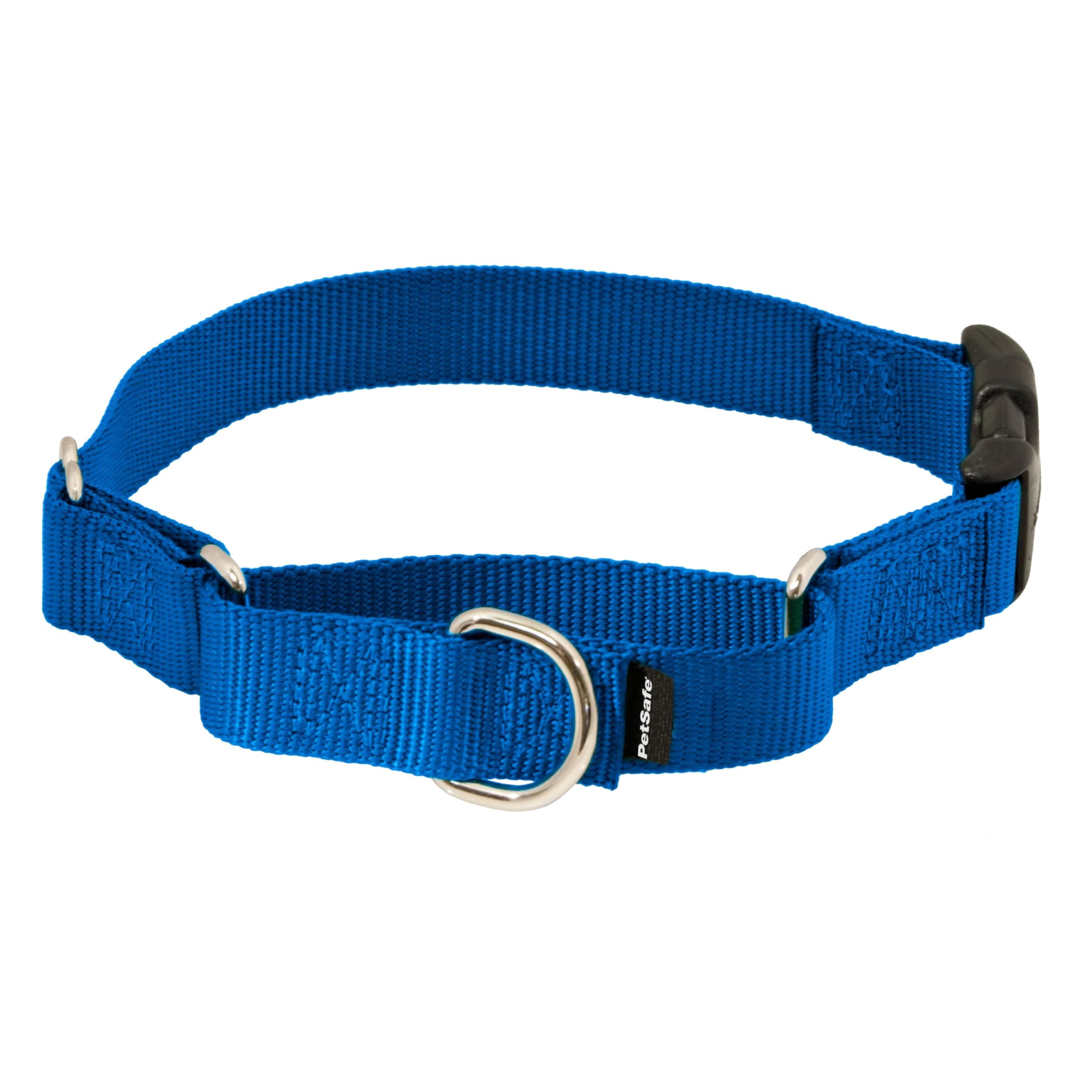 Martingale Collar with Quick Snap Buckle, 1" Medium, Royal Blue