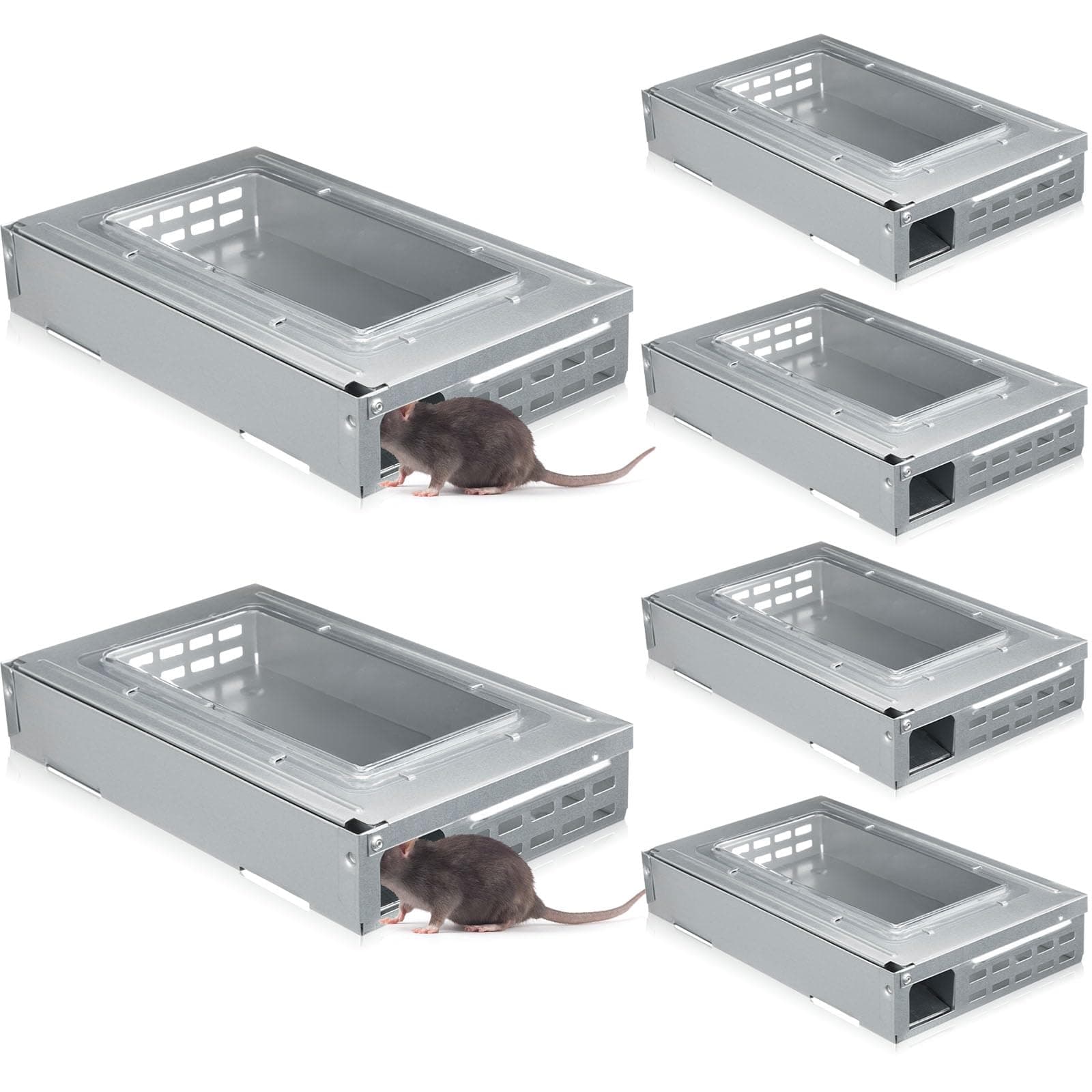 Qualirey 4 Pack Multi Catch Mice Trap Clear Top Humanized Mouse Trap Rodent for Indoor Outdoor Rat Control Pet and Security (6.3 Inch,Silver)