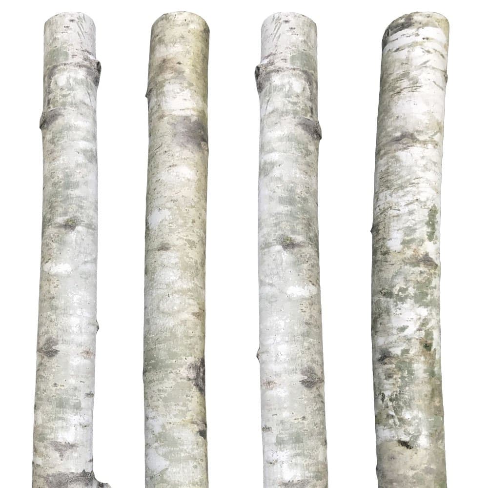 Decorative Silver Aspen Poles 8'