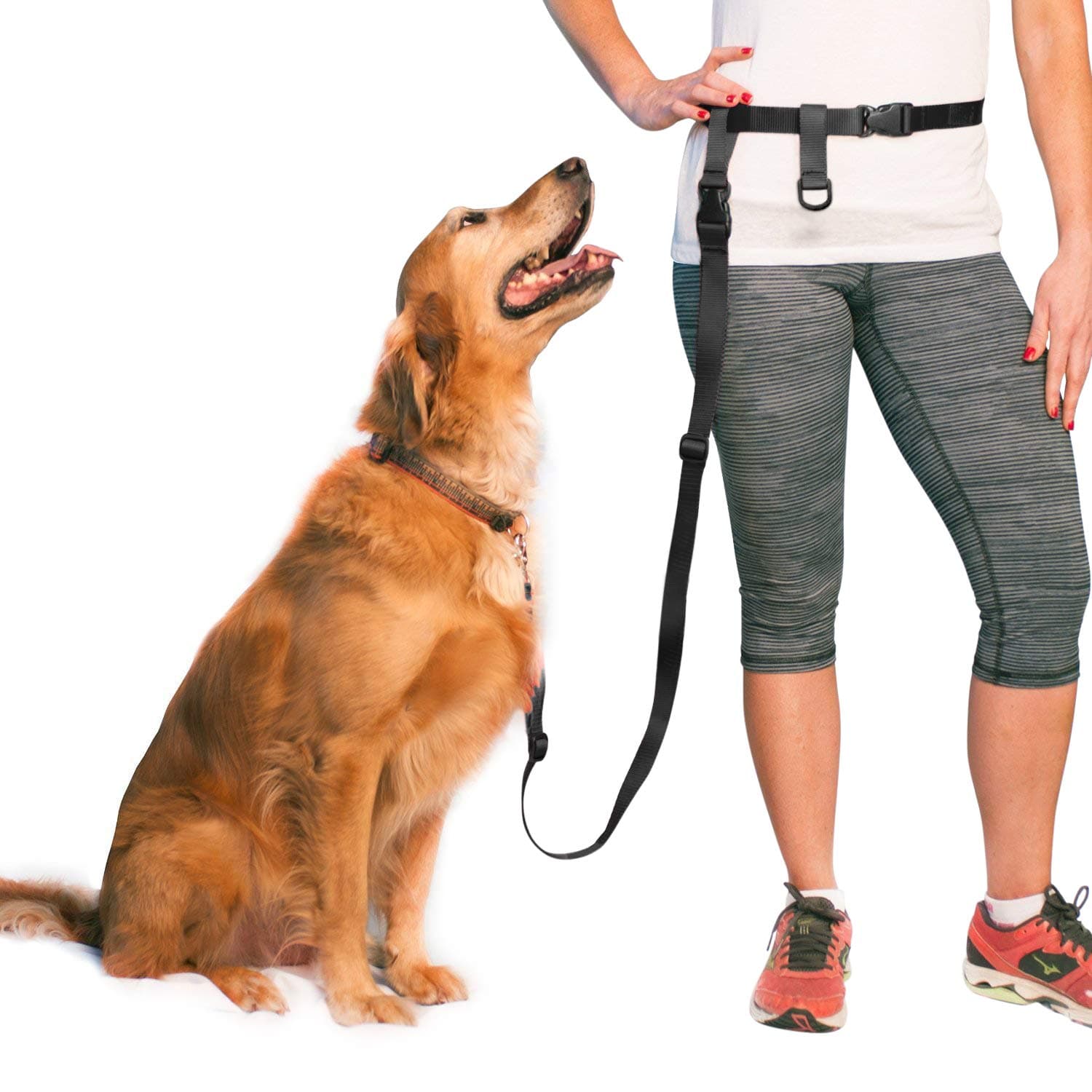 The Buddy System Adjustable Hands Free Dog Leash, Hand-Free Leash for Running, Jogging, Walking, Hiking and Training Service Dogs, Versatile All Dog Sizes - Made in USA - Large, Black