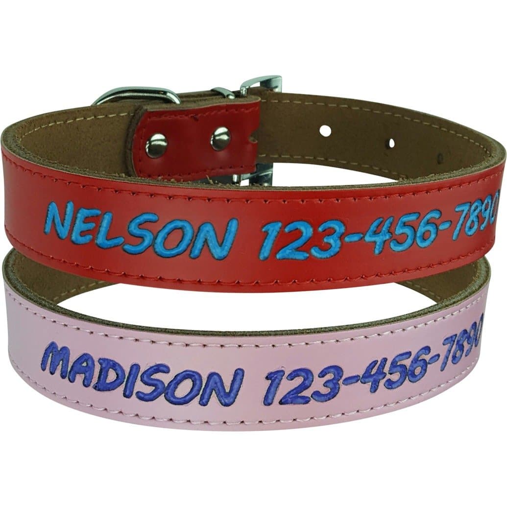 Personalized Dog Collar Leather in Small, Medium or Large, Pink or Red, No Engraved ID Tags or Embroidered Pet Collars