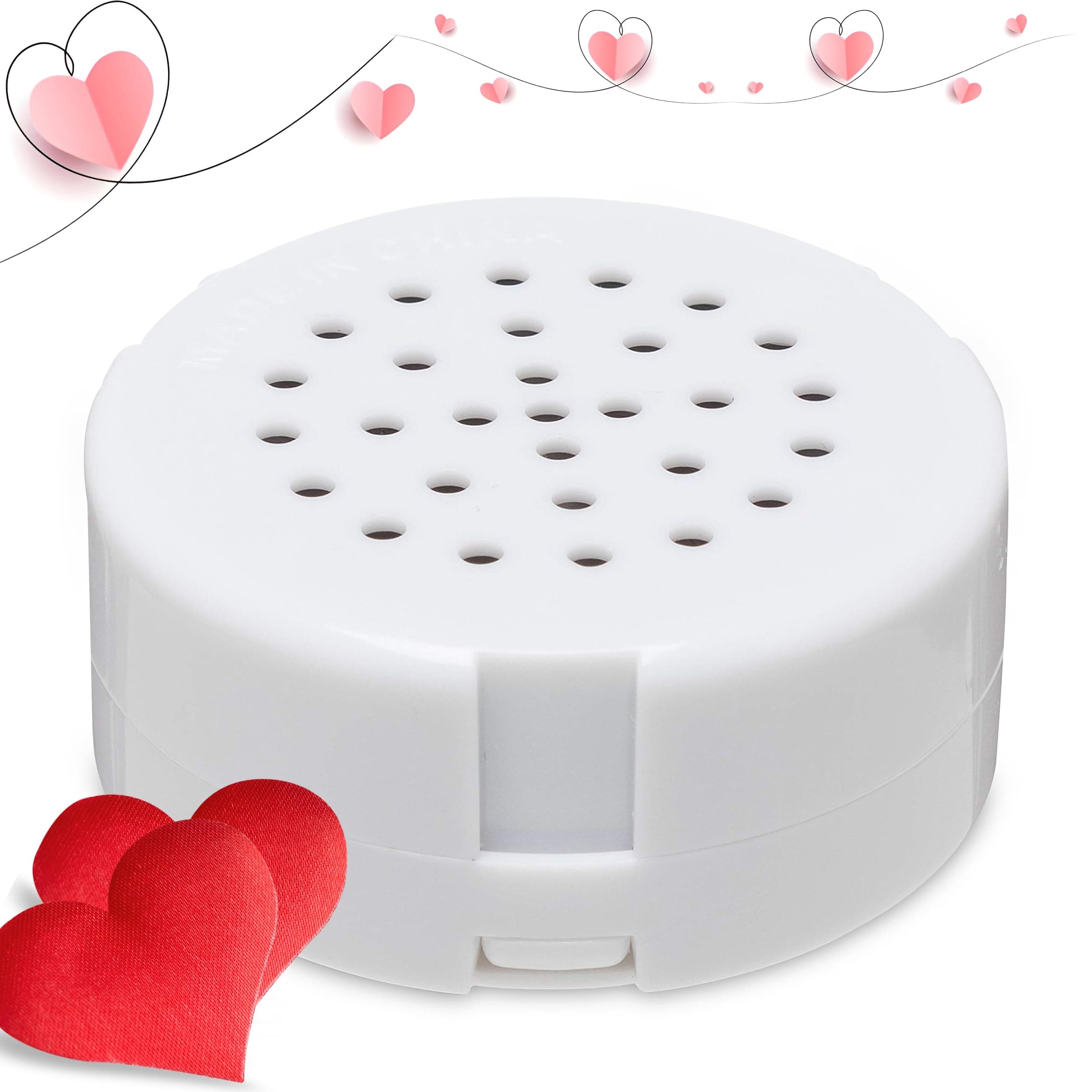 VoiceGift 60-Second Mini-Me Voice Recorder, Record Custom Messages for Plush Toys, Stuffed Bear, Baby Doll, and Pillow - Pack of 50