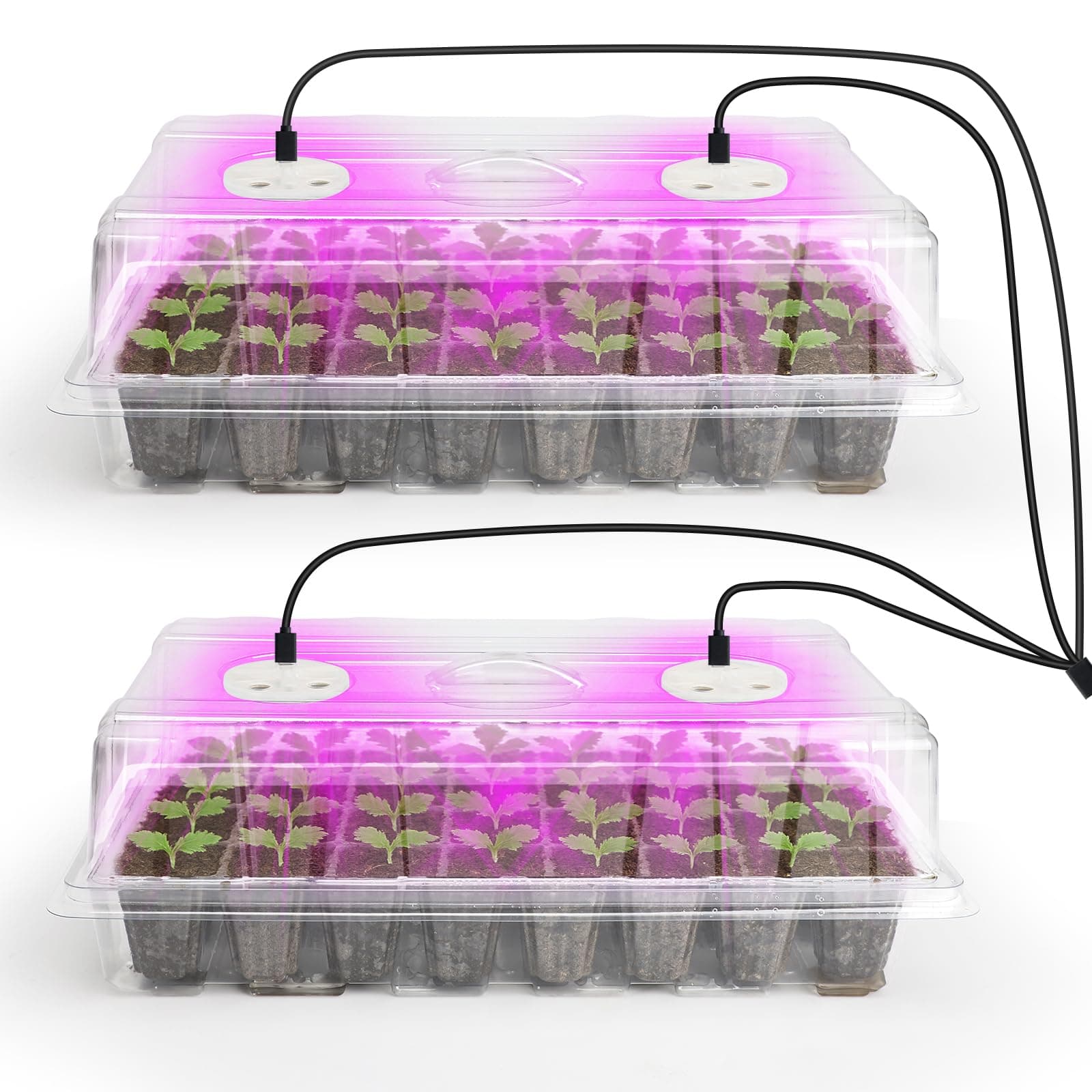 Bonviee 2-Pack Seed Starter Tray with Plant Light, Elevated Seedling Starter Trays Kits with Adjustable Humidity Domes and Clear Cell Tray, 12 Full Spectrum Led Lamp Beads for Plants Indoor-Clear